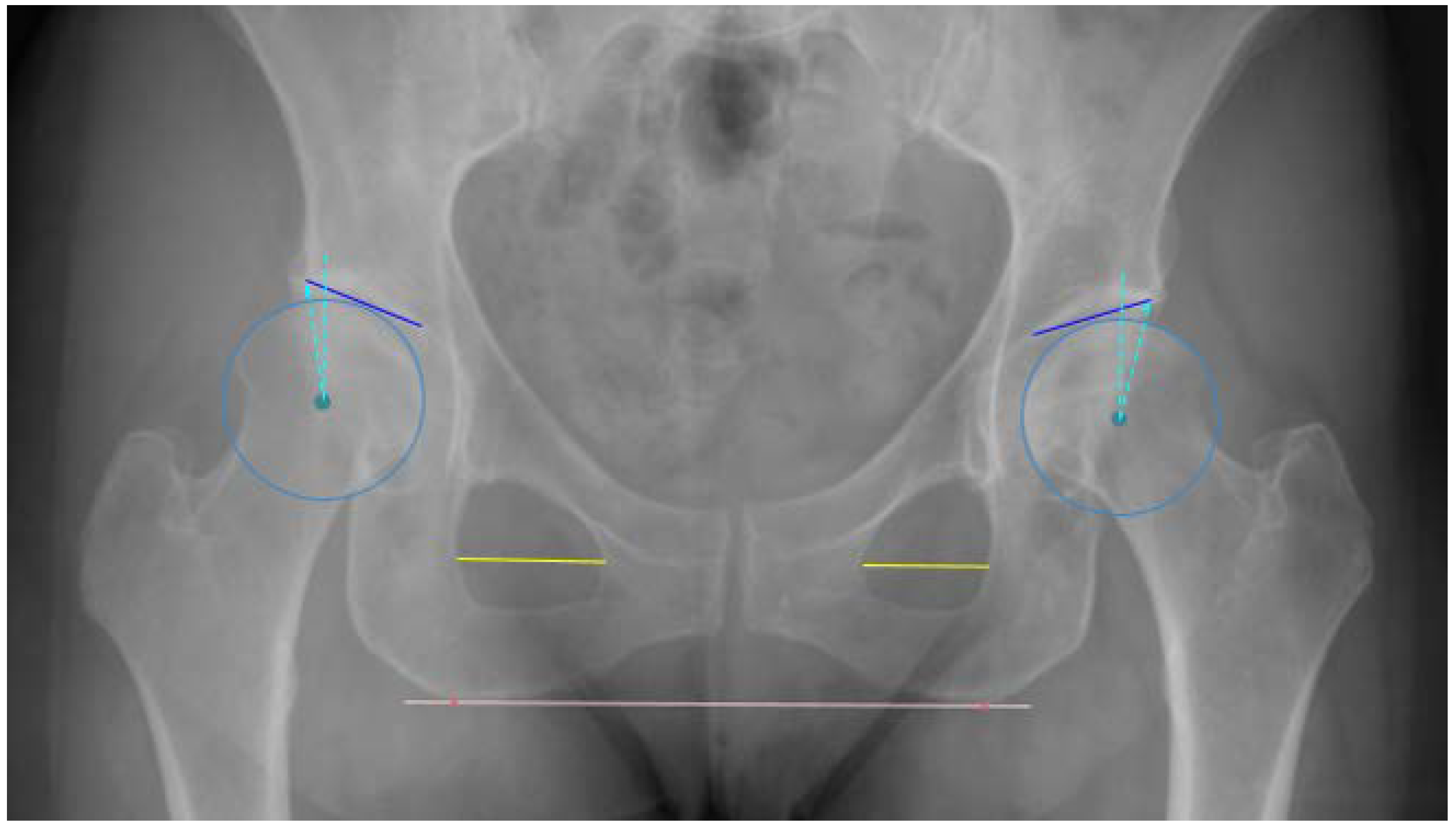 Diagnostics 12 02597 g002 Diagnostics 12 02597 g002
