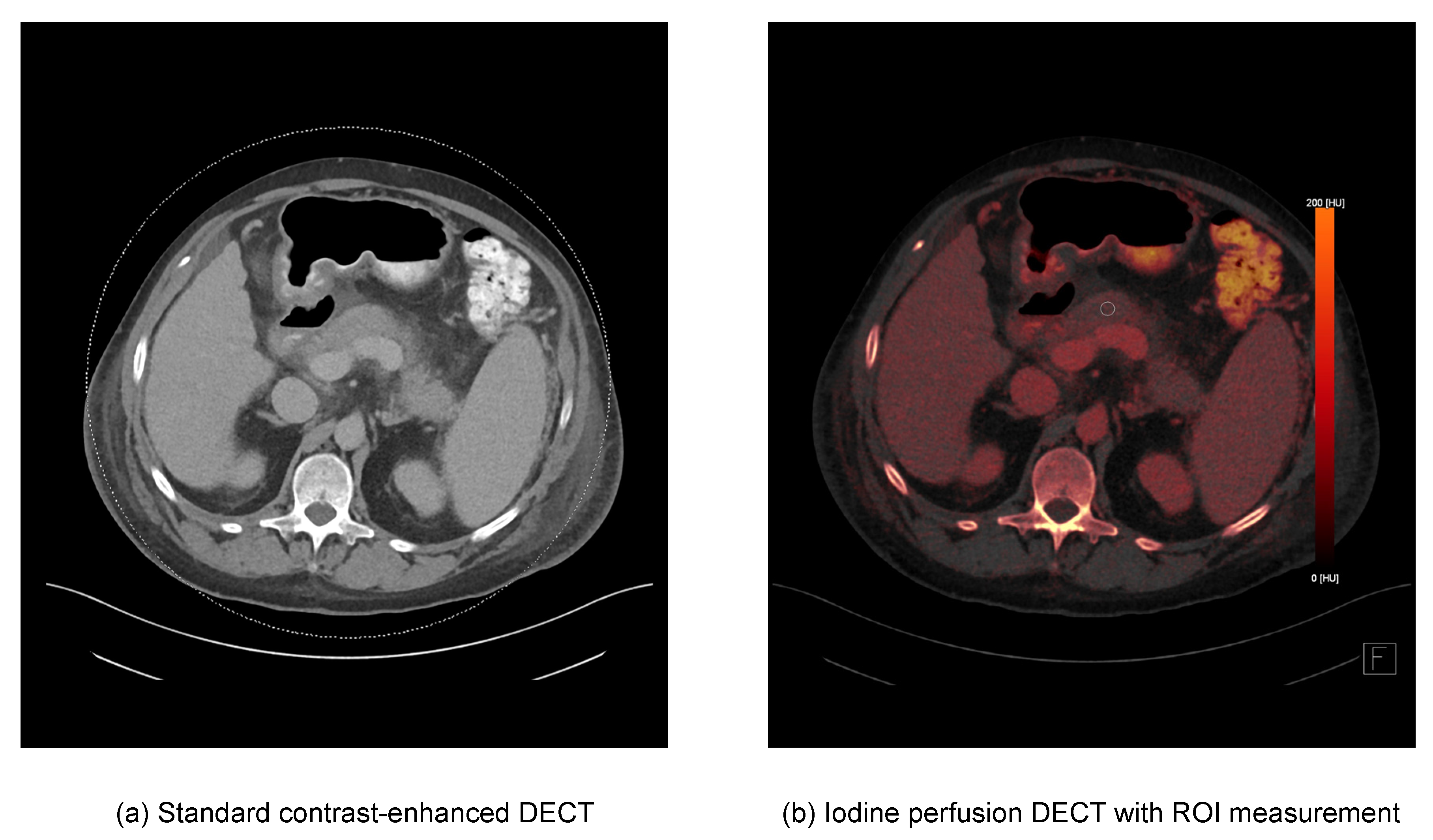Diagnostics 12 02601 g002