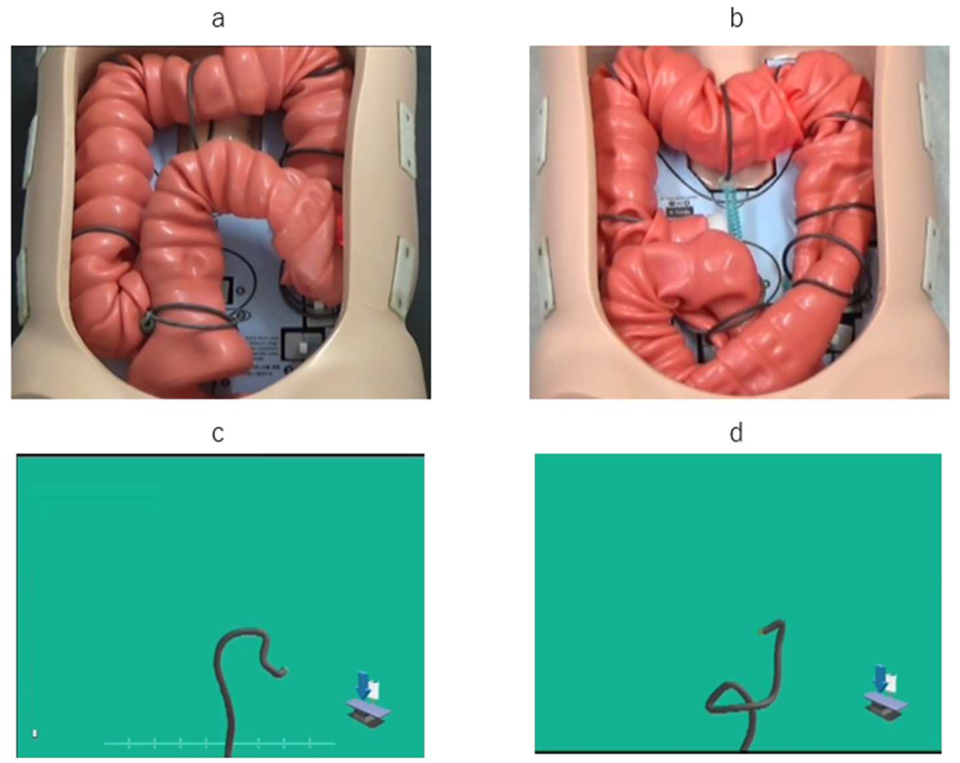 Diagnostics Free FullText Investigation of the New Advantages of