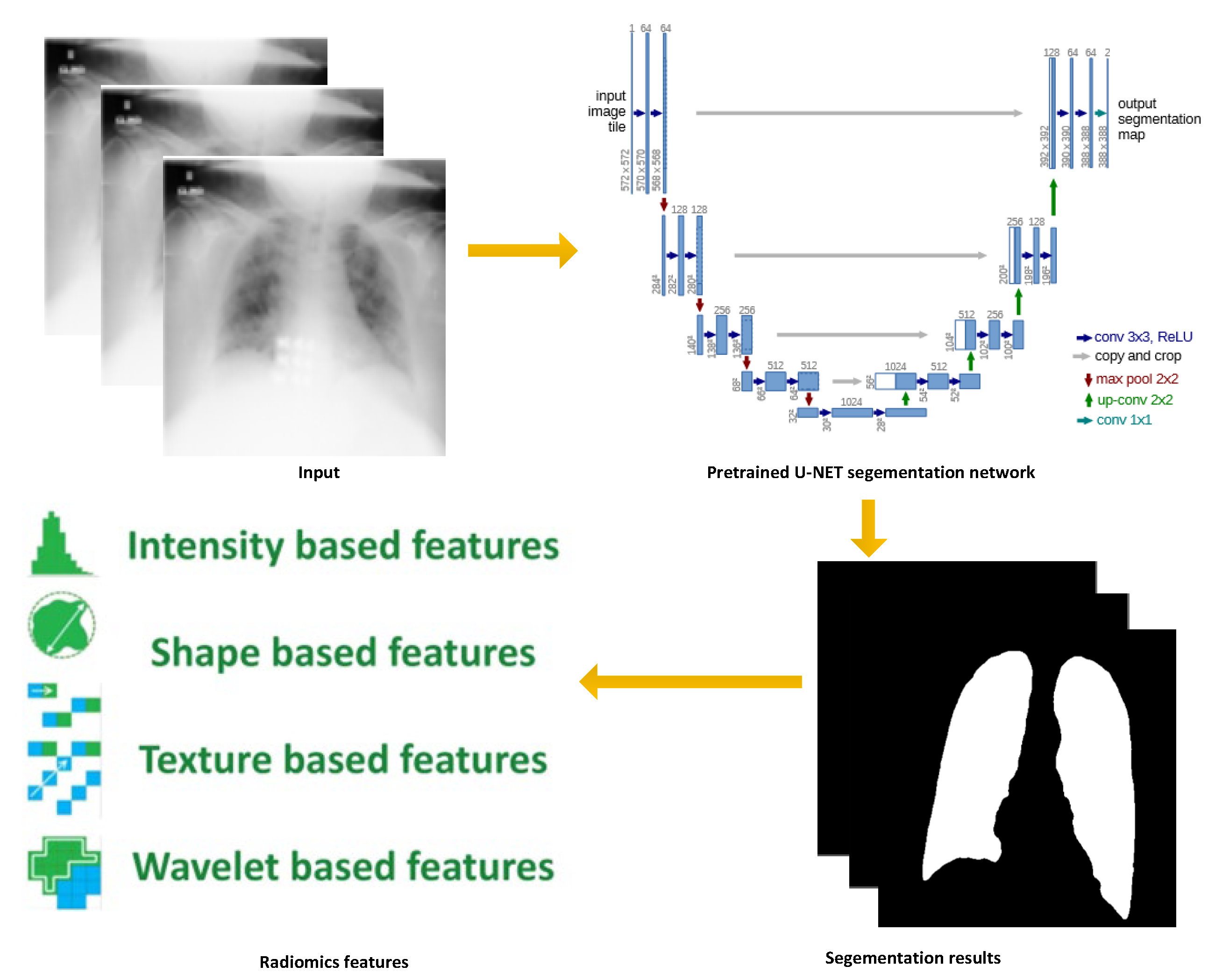 Diagnostics 12 02613 g001