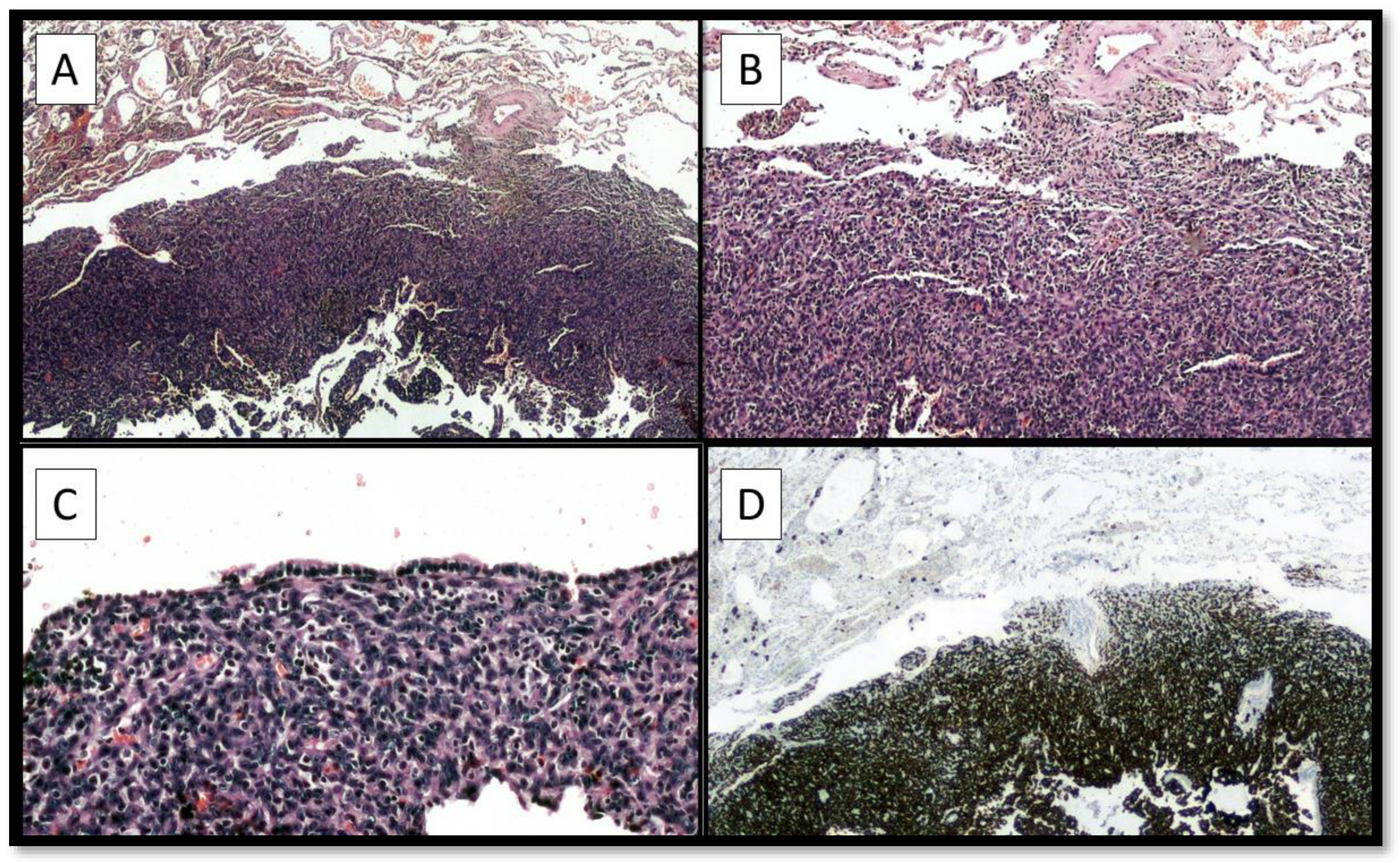 Diagnostics 12 02616 g003