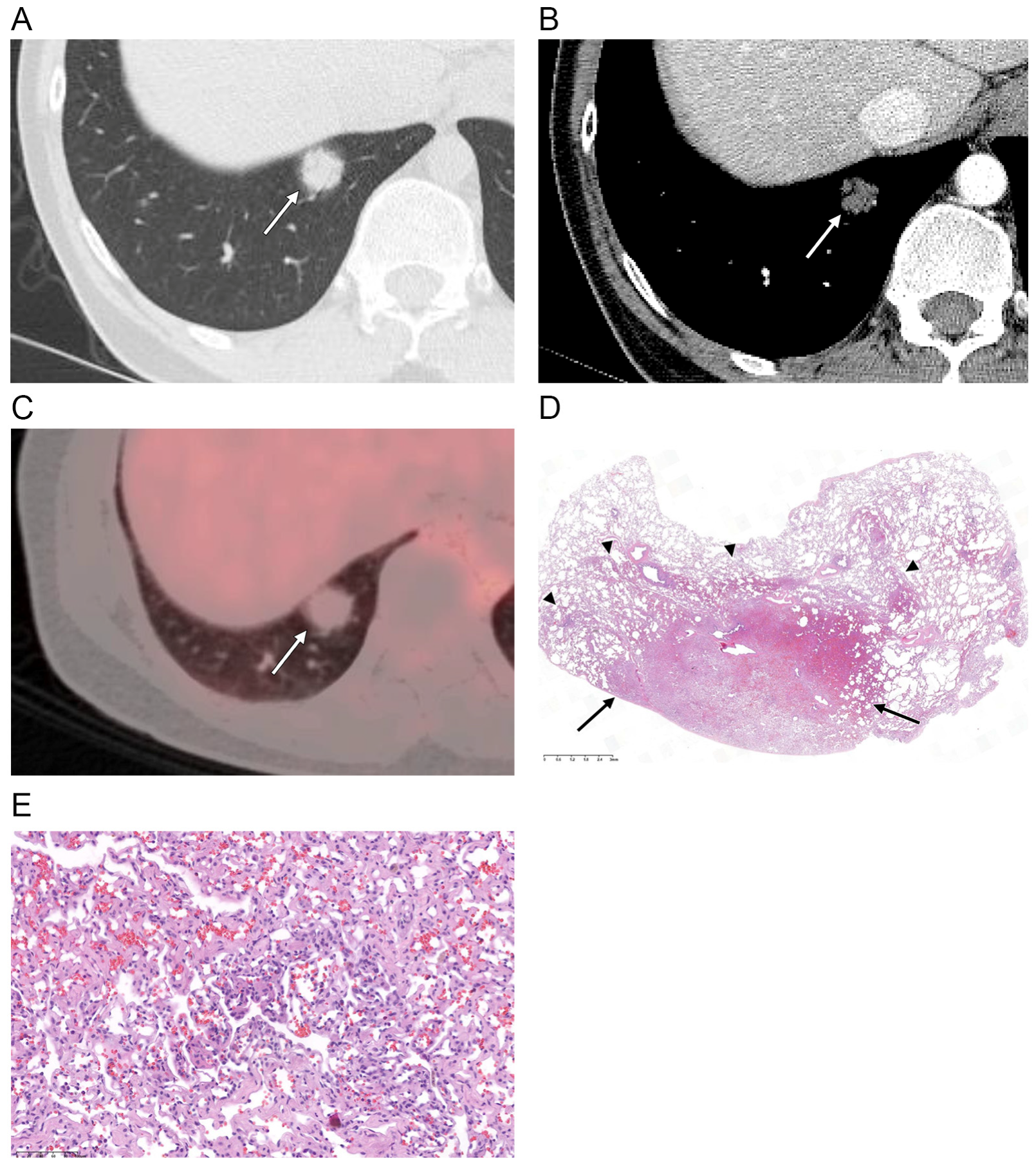 Diagnostics 12 02618 g001