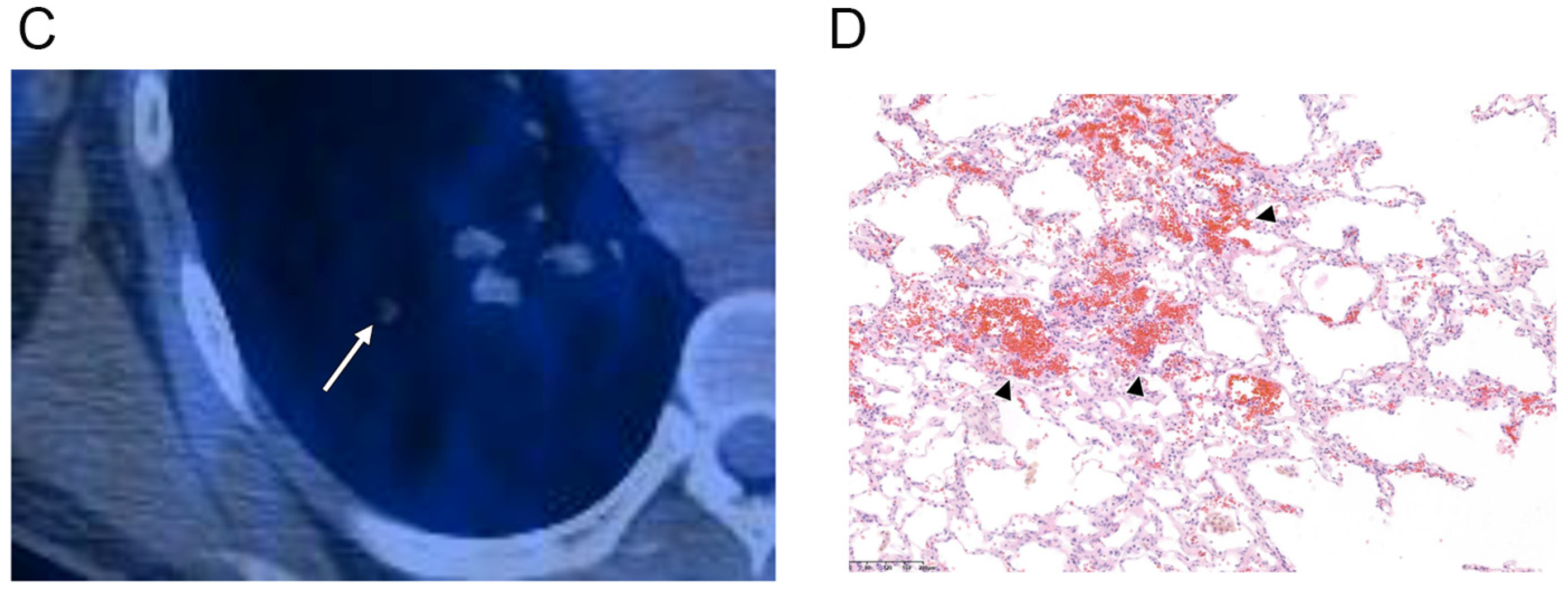 Diagnostics 12 02618 g003b