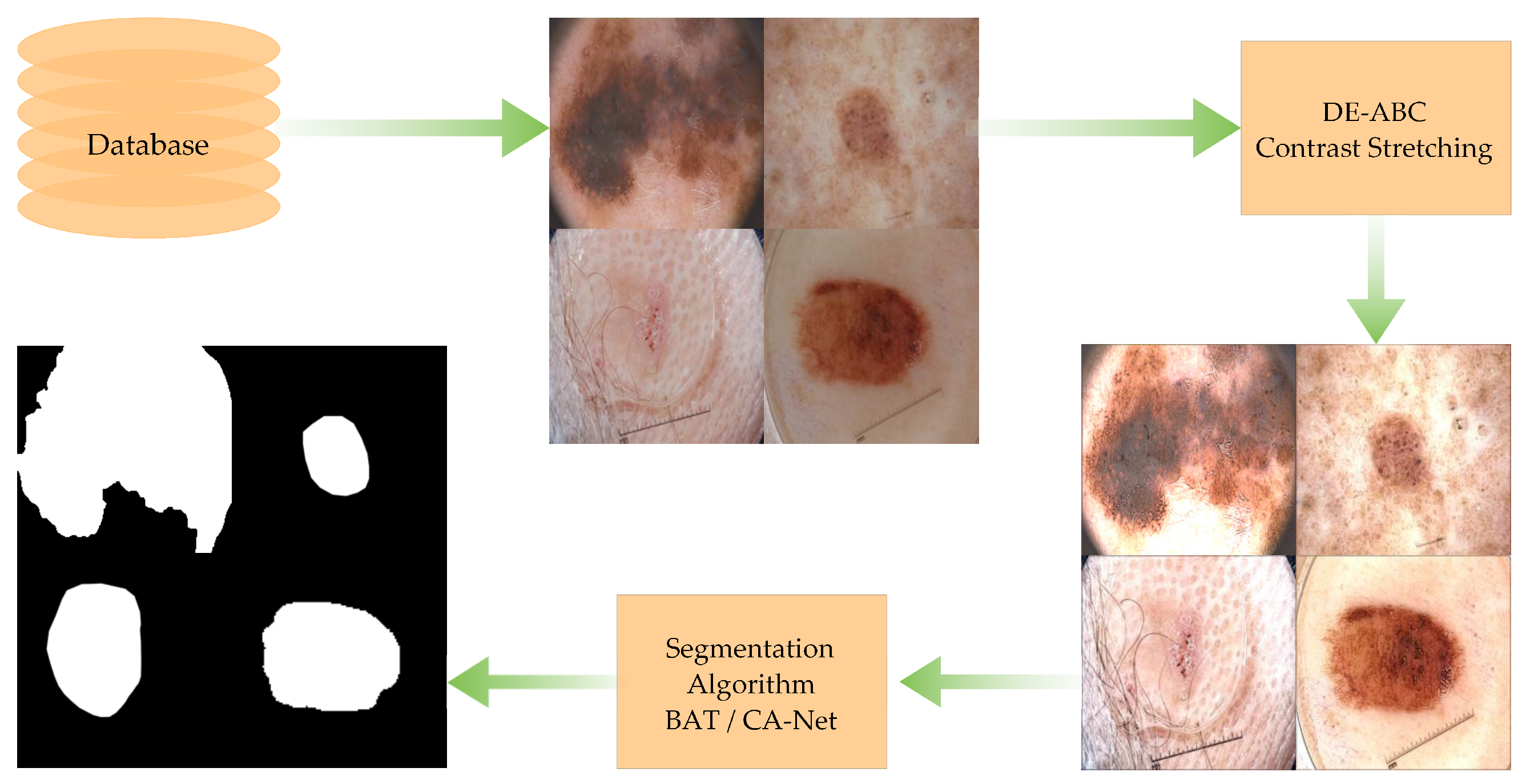 Diagnostics 12 02625 g002