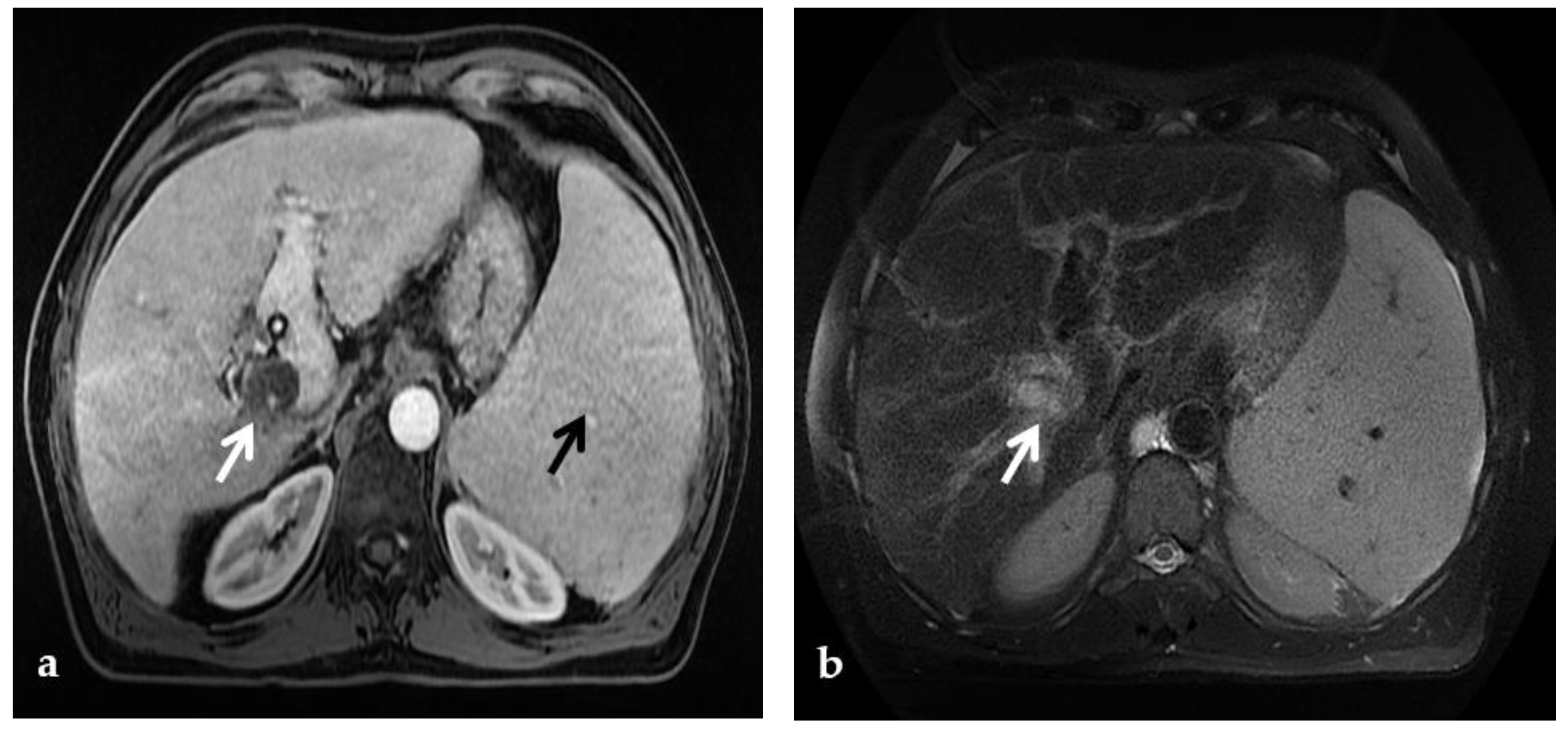 Delenox Radiology Patient Portal - ng599r0