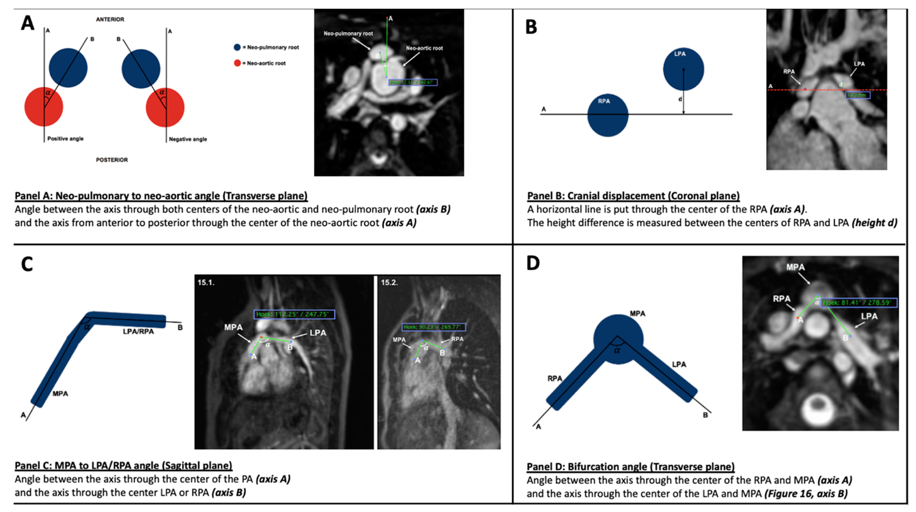 Diagnostics 12 02629 g001 Diagnostics 12 02629 g001