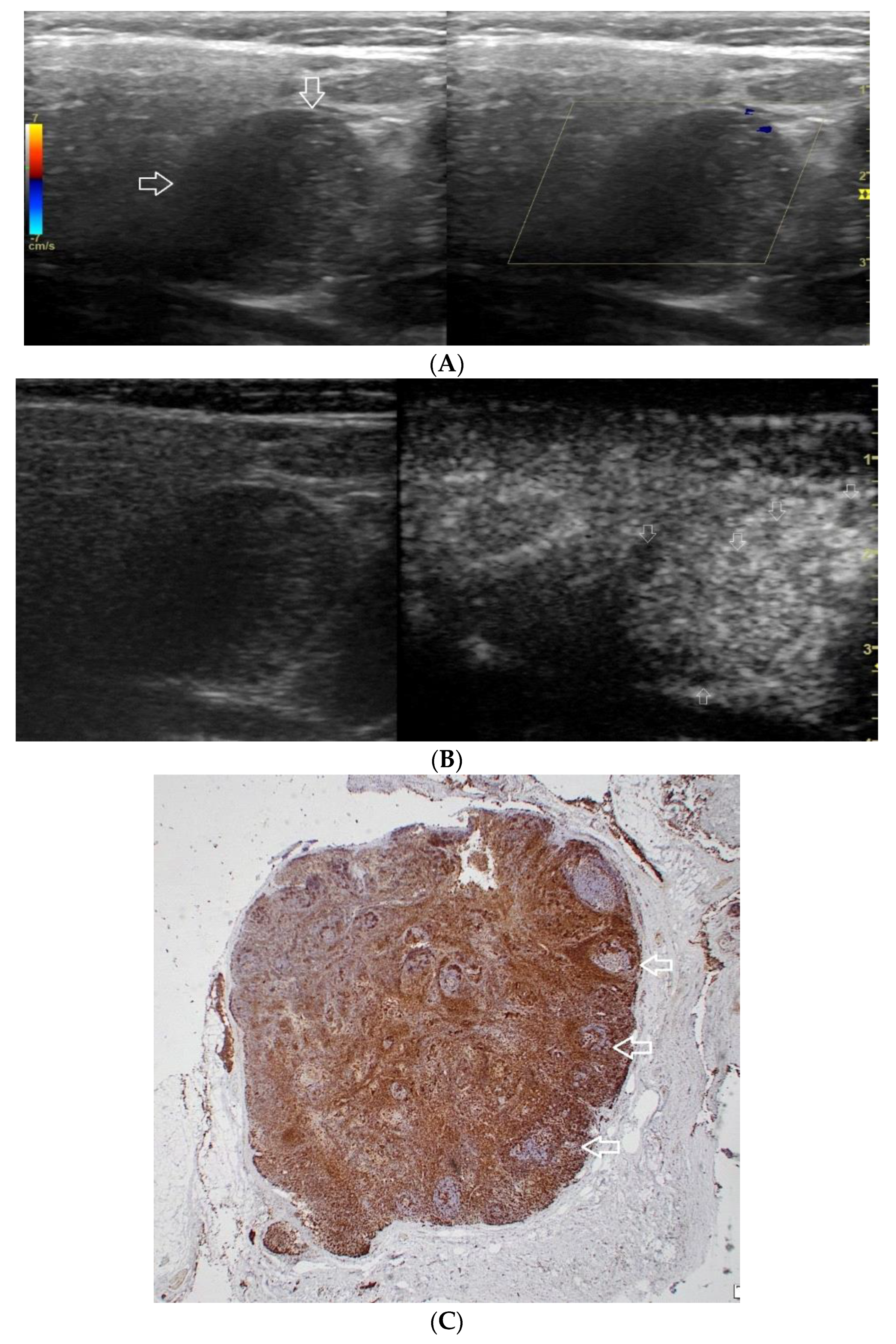 Diagnostics 12 02636 g001