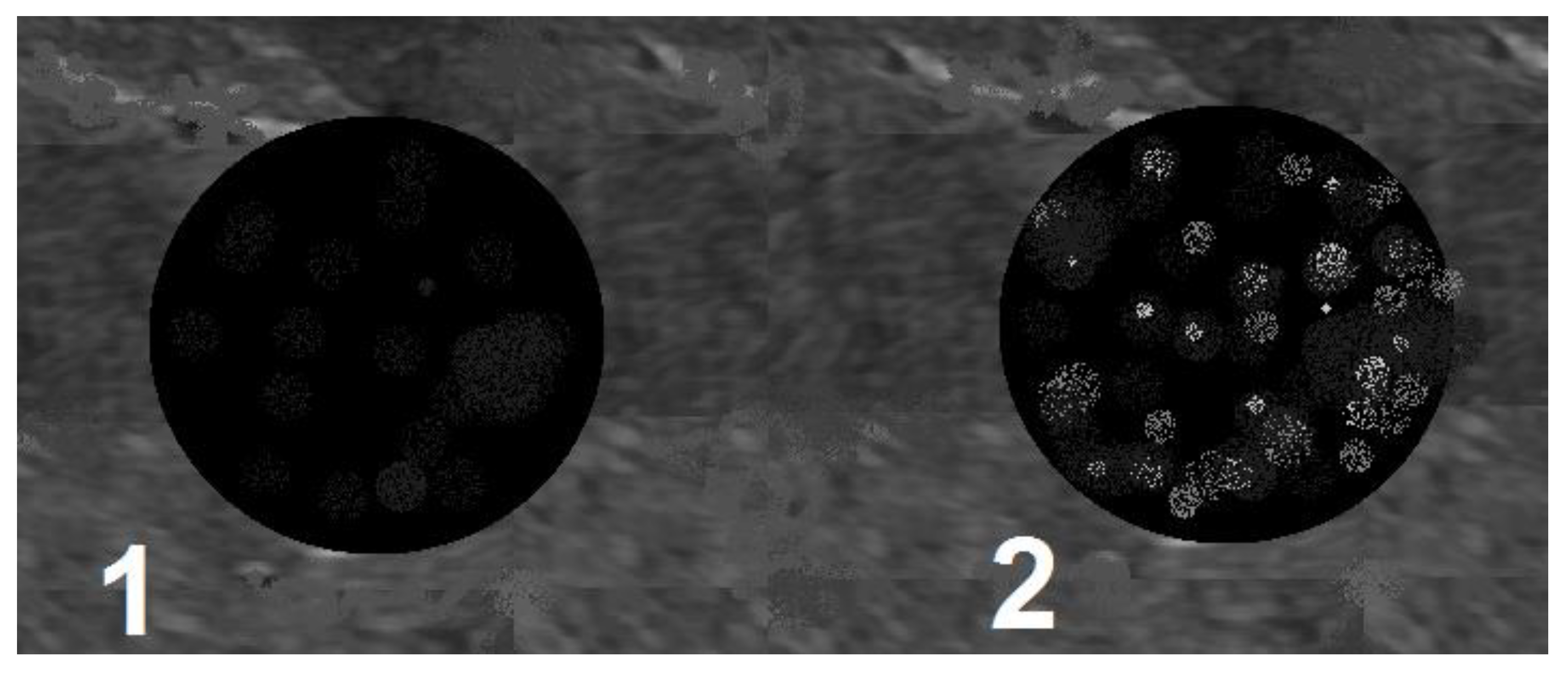 Diagnostics 12 02636 sch002