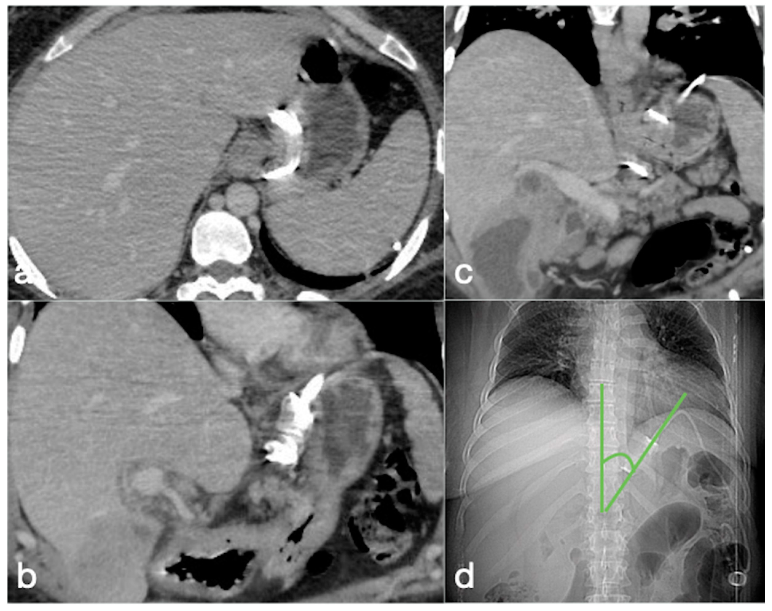 Diagnostics 12 02637 g002