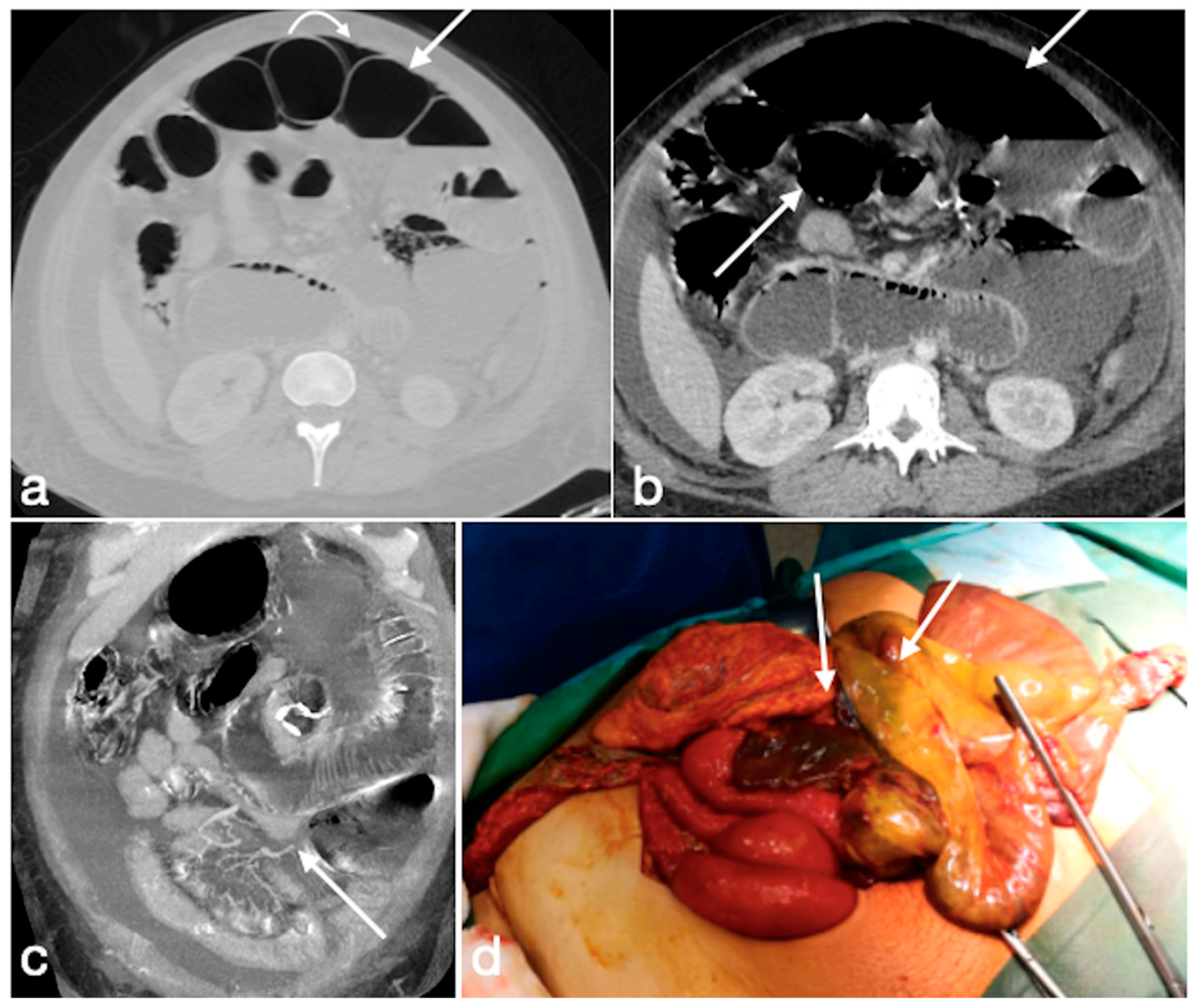 Diagnostics 12 02637 g016