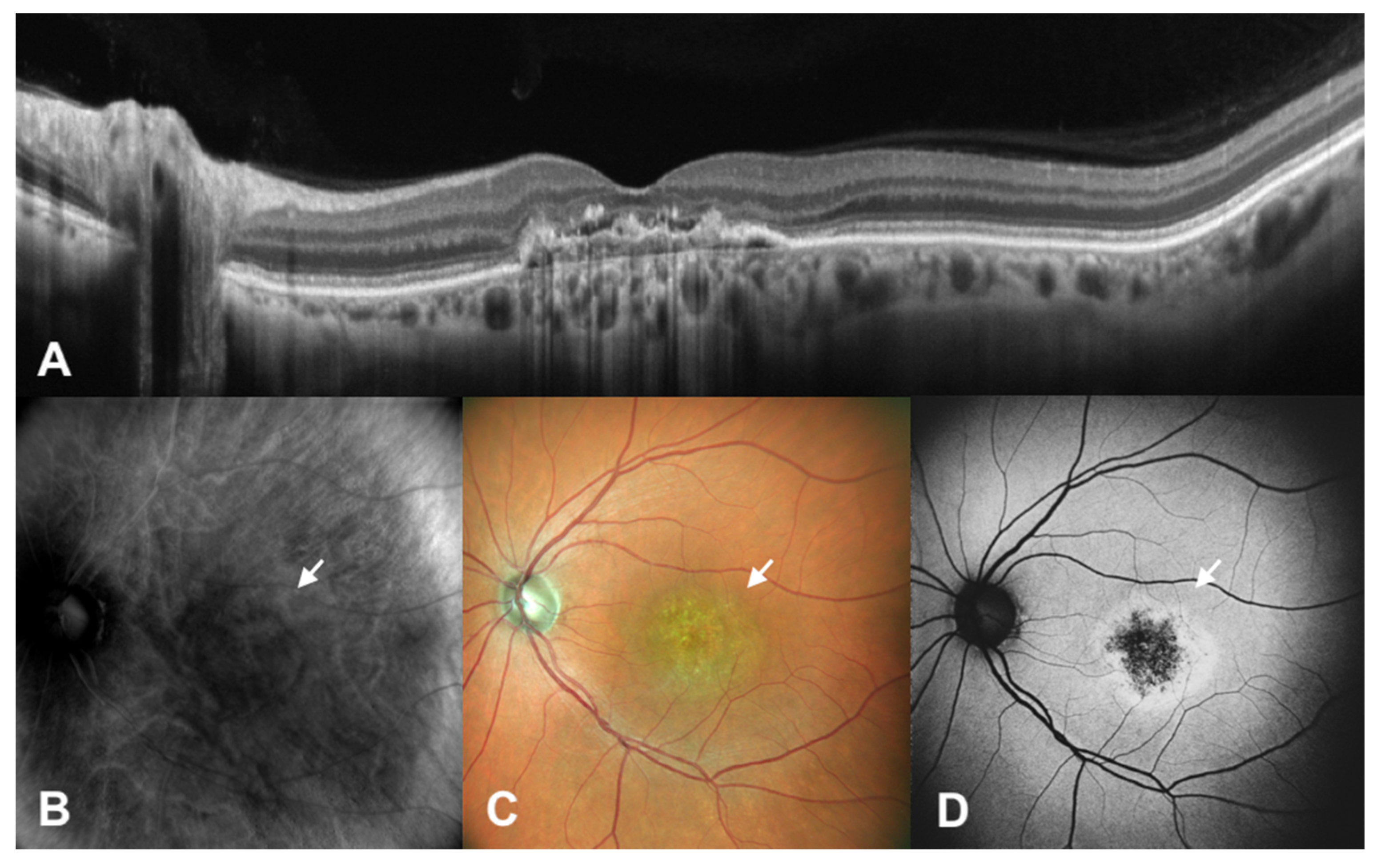 Diagnostics 12 02638 g004