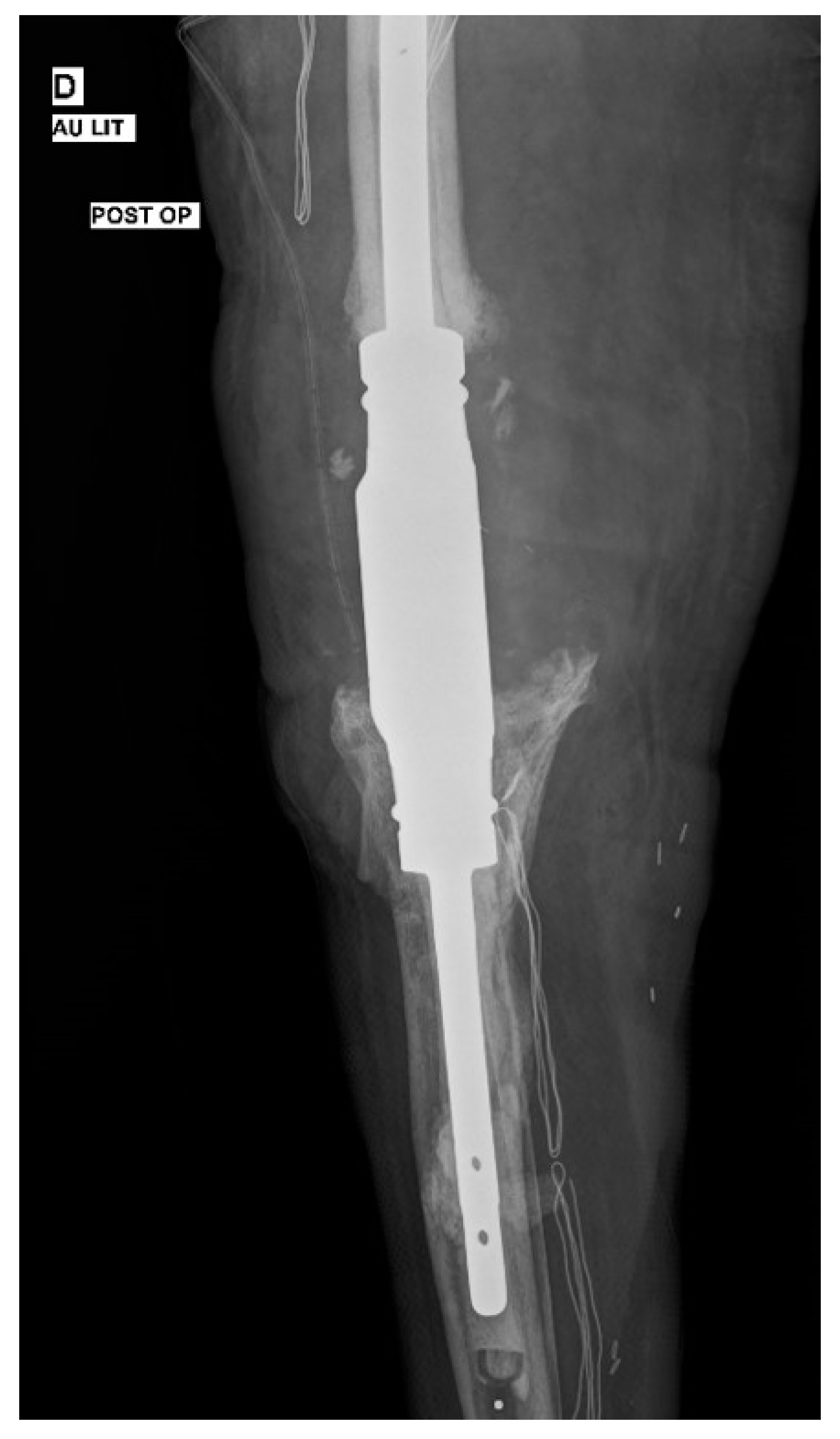 Diagnostics 12 02640 g004 Diagnostics 12 02640 g004