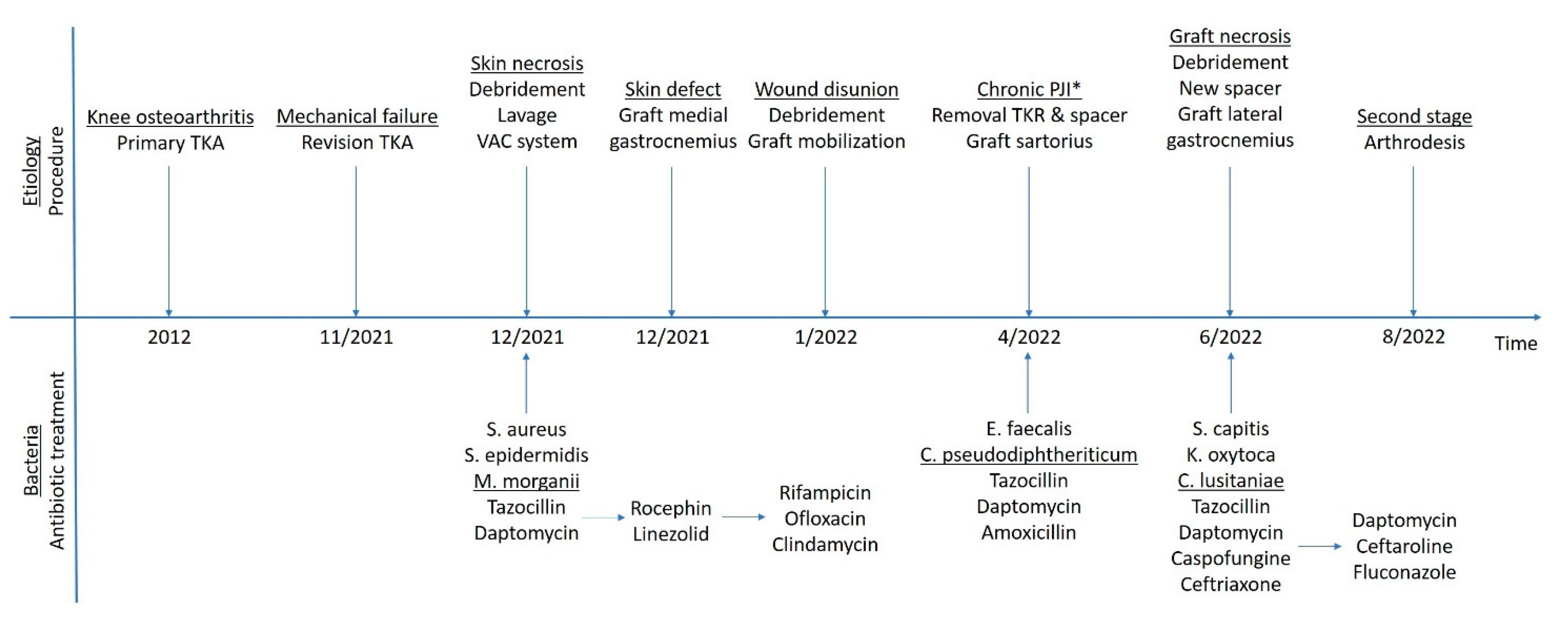 Diagnostics 12 02640 g005 Diagnostics 12 02640 g005