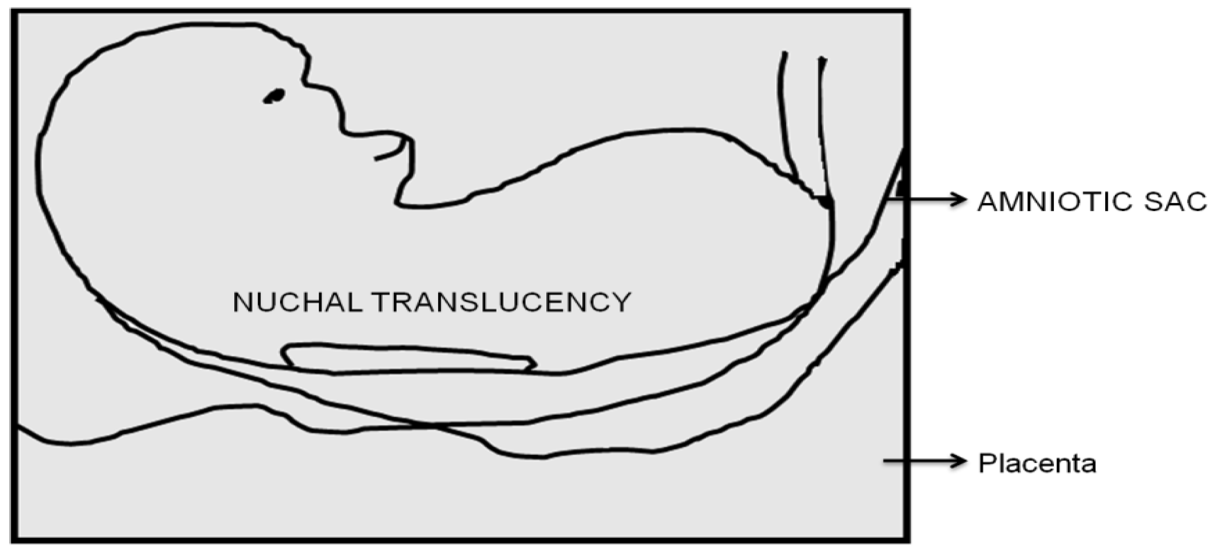Diagnostics 12 02643 g001