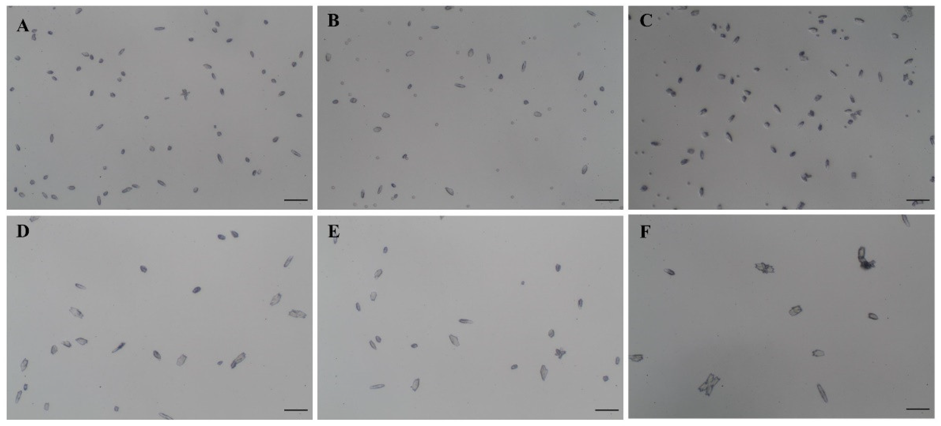 Diagnostics 12 02651 g001 Diagnostics 12 02651 g001