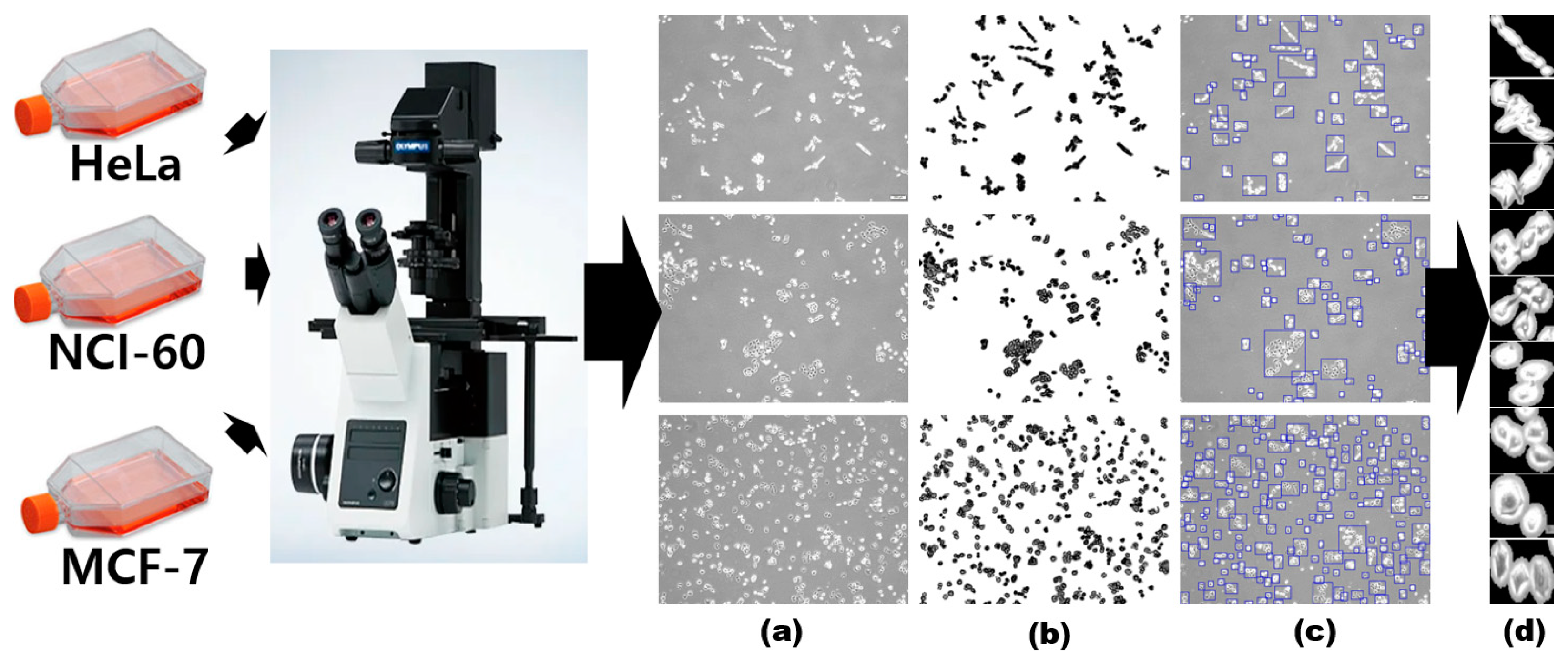 Diagnostics 12 02654 g004 Diagnostics 12 02654 g004
