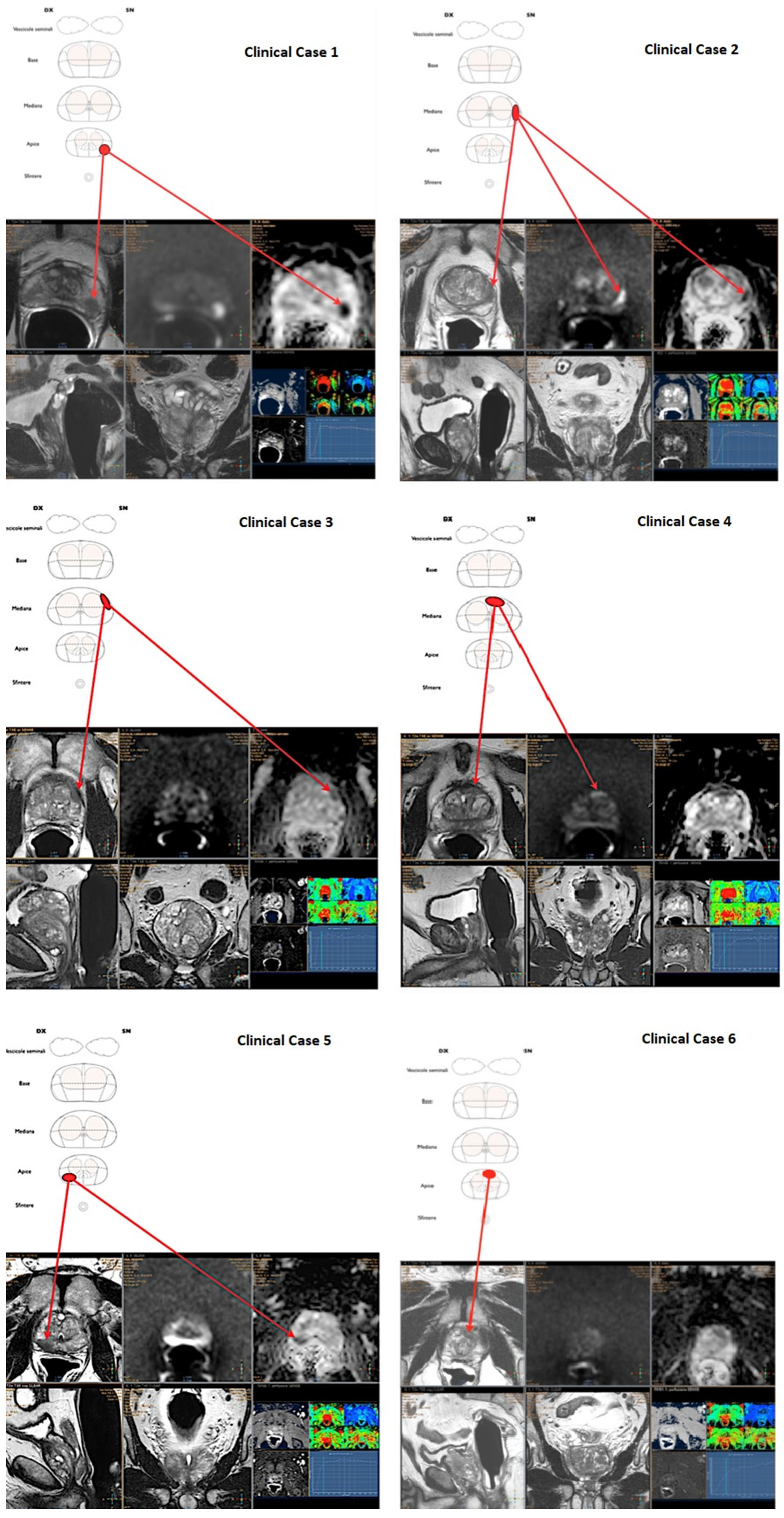 Diagnostics 12 02656 g001