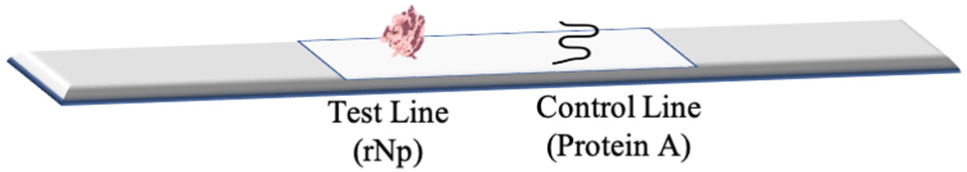 Diagnostics 12 02664 g001