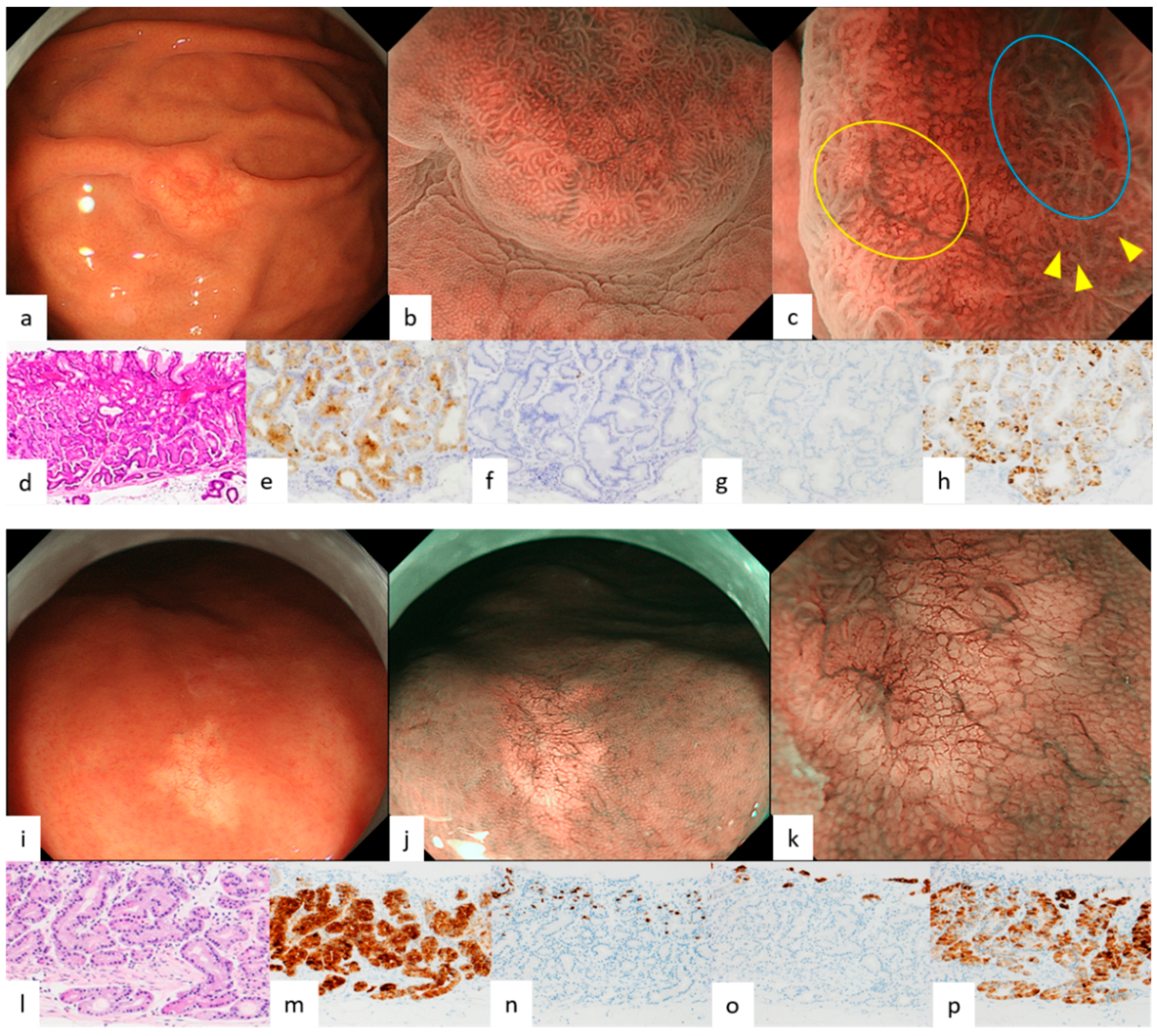Diagnostics 12 02666 g001 Diagnostics 12 02666 g001
