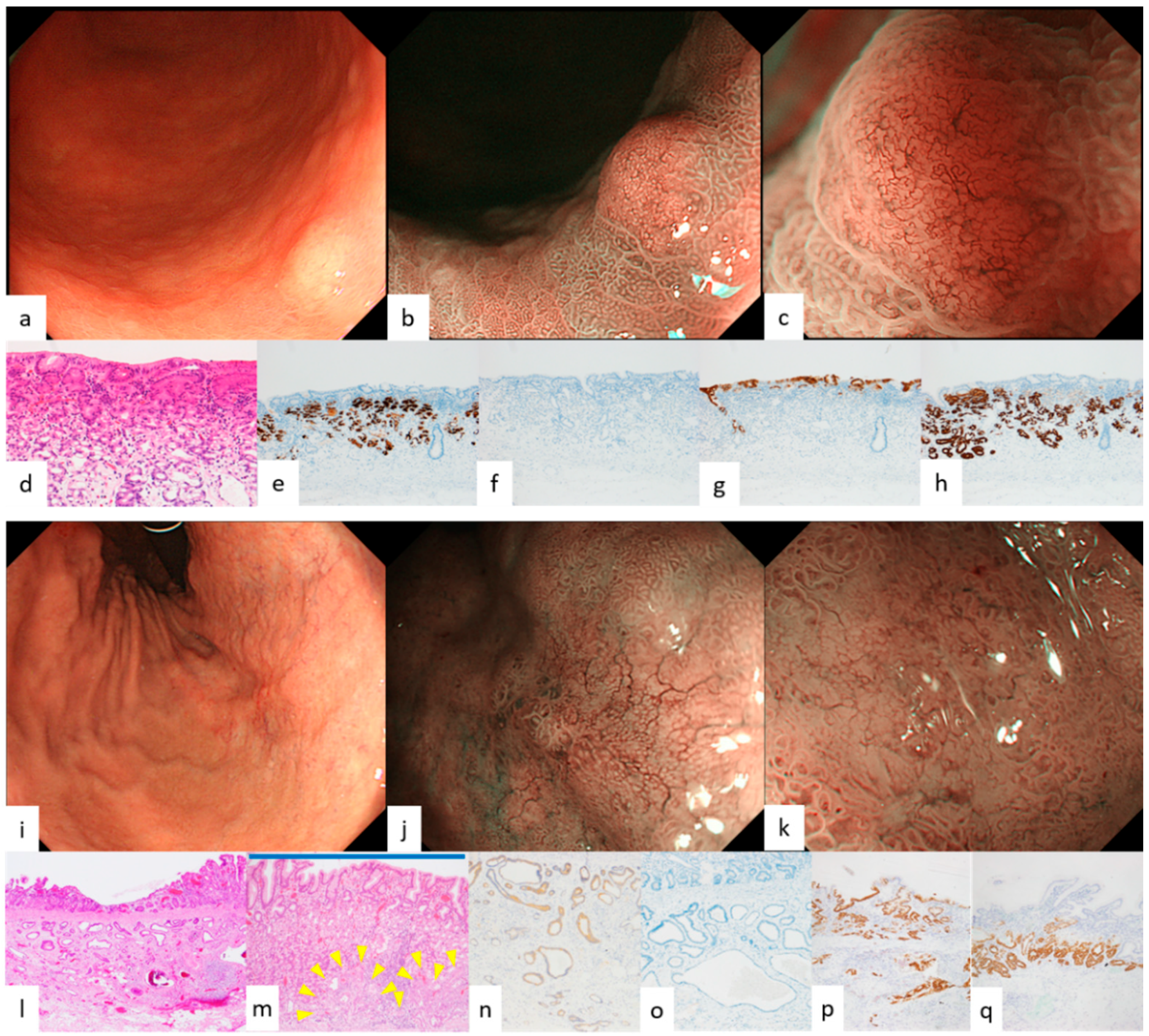 Diagnostics 12 02666 g003 Diagnostics 12 02666 g003