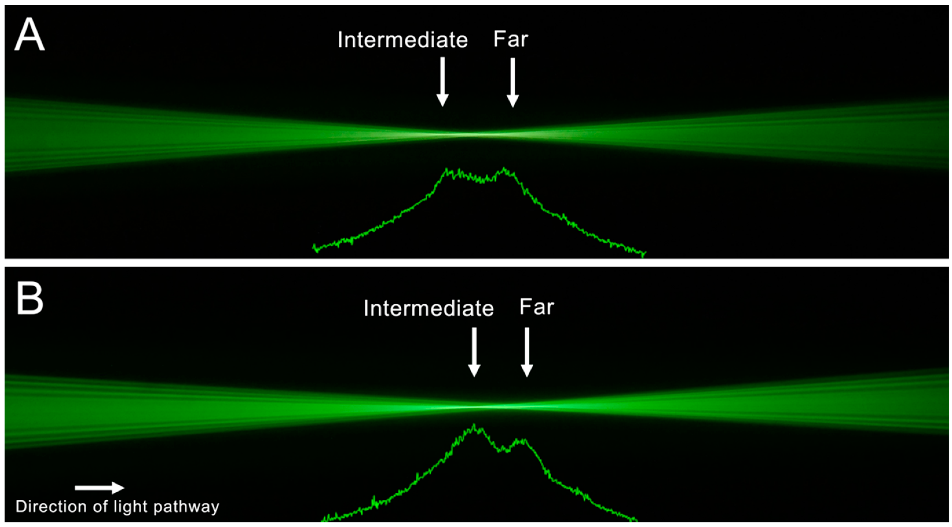 Diagnostics 12 02667 g003 Diagnostics 12 02667 g003