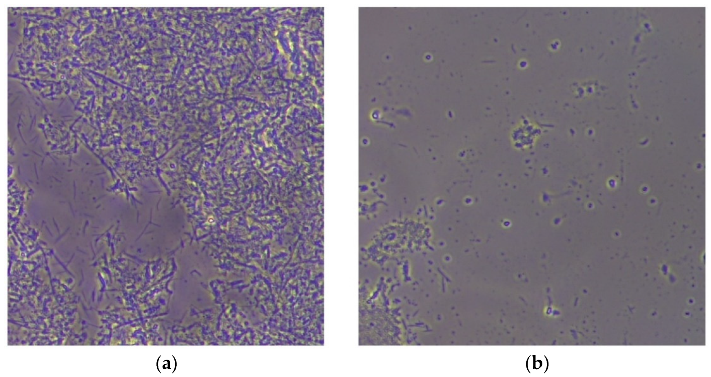 Diagnostics 12 02672 g002 Diagnostics 12 02672 g002