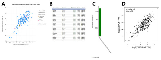 Association of the Timeless Gene with Prognosis and Clinical