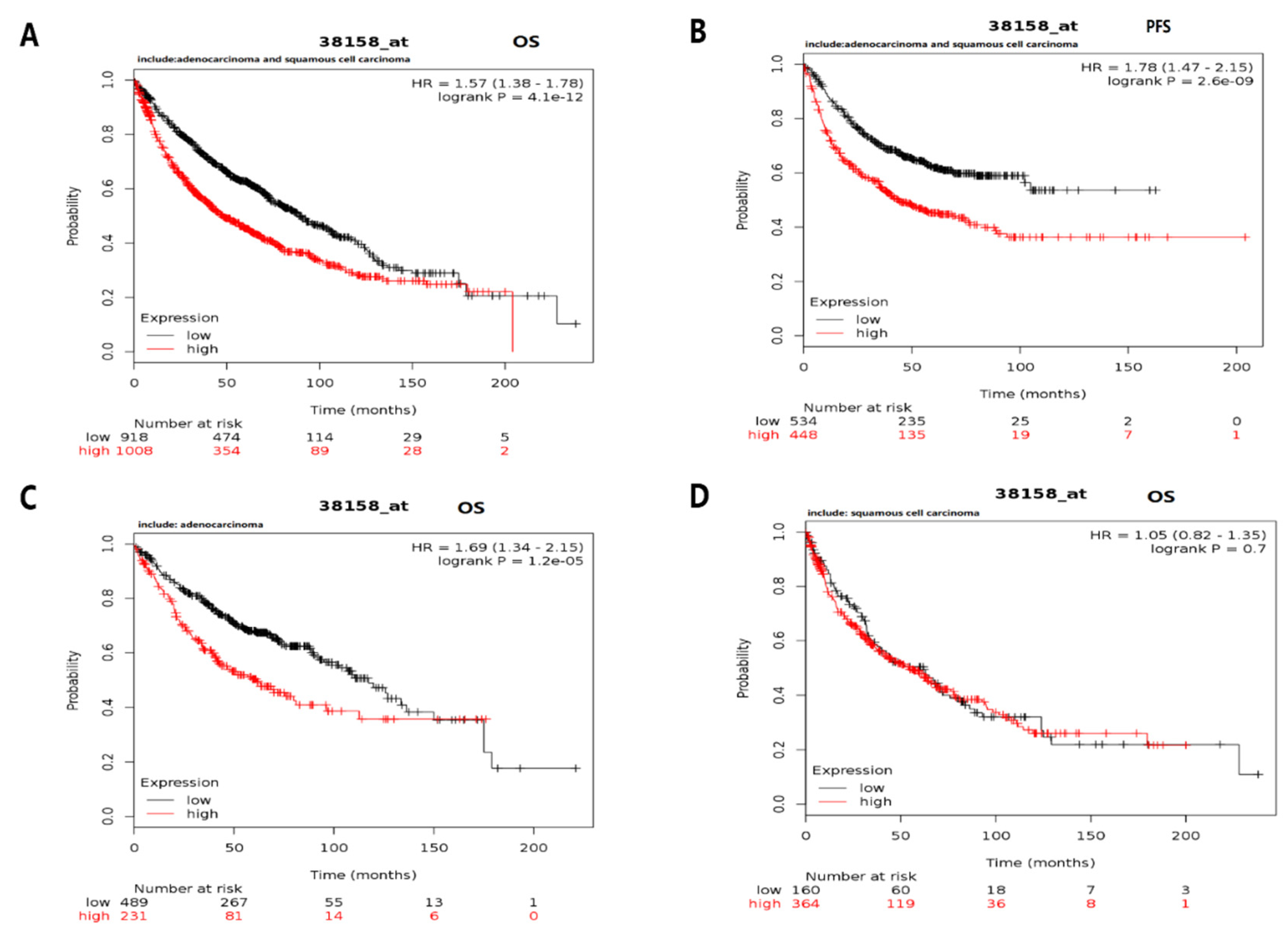 Diagnostics 12 02681 g011 Diagnostics 12 02681 g011