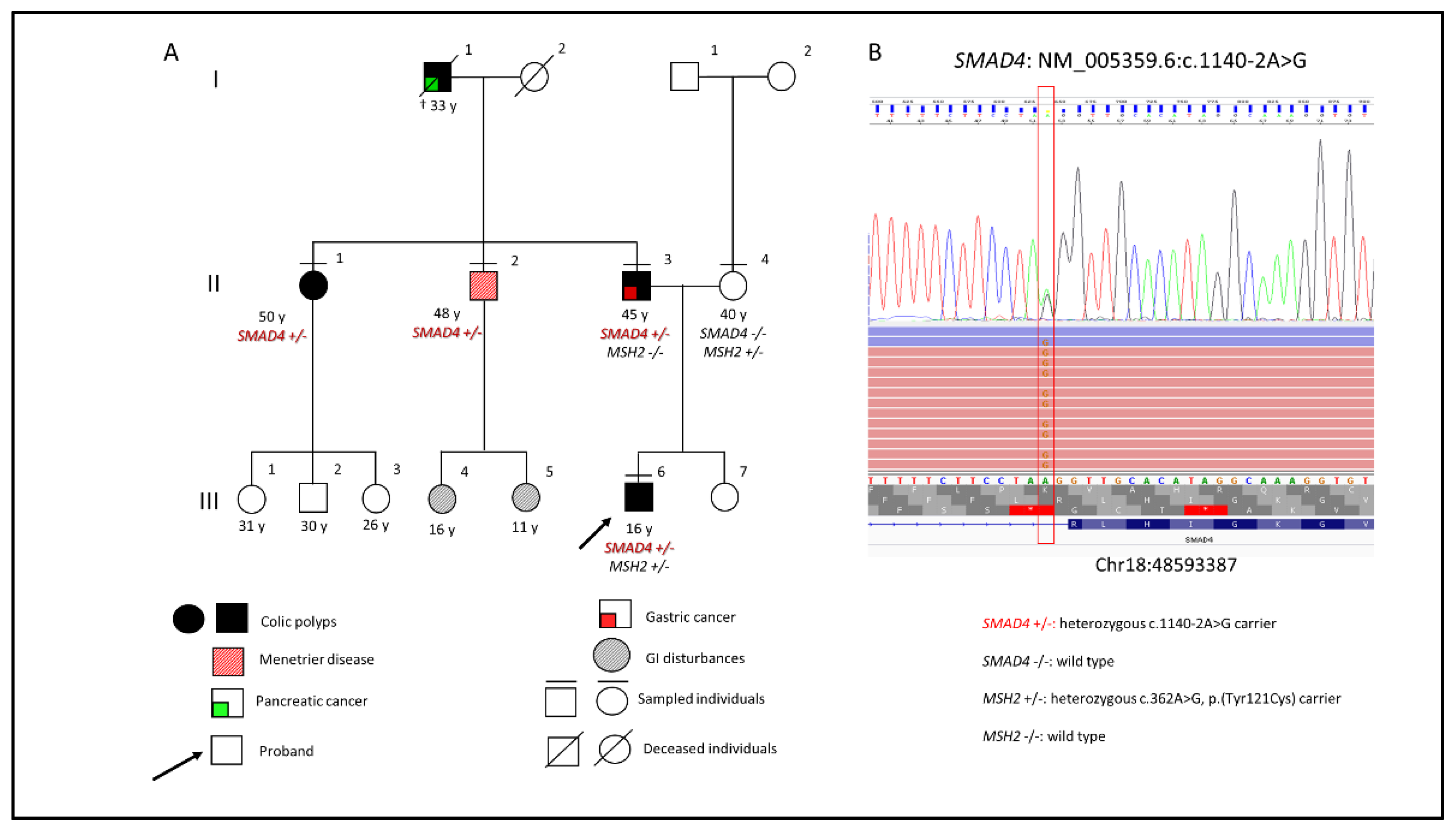 Diagnostics 12 02684 g001