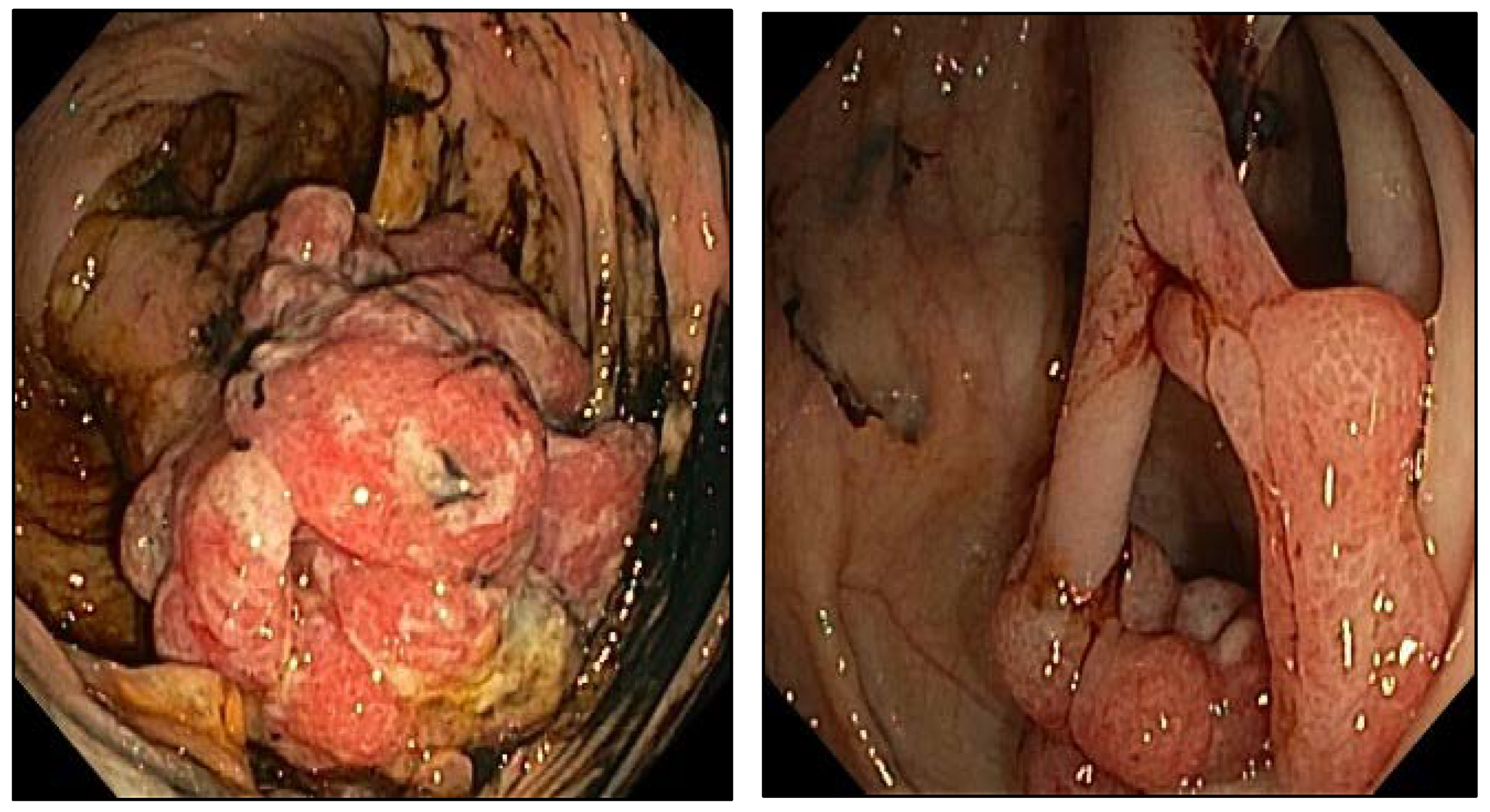 Diagnostics 12 02684 g002