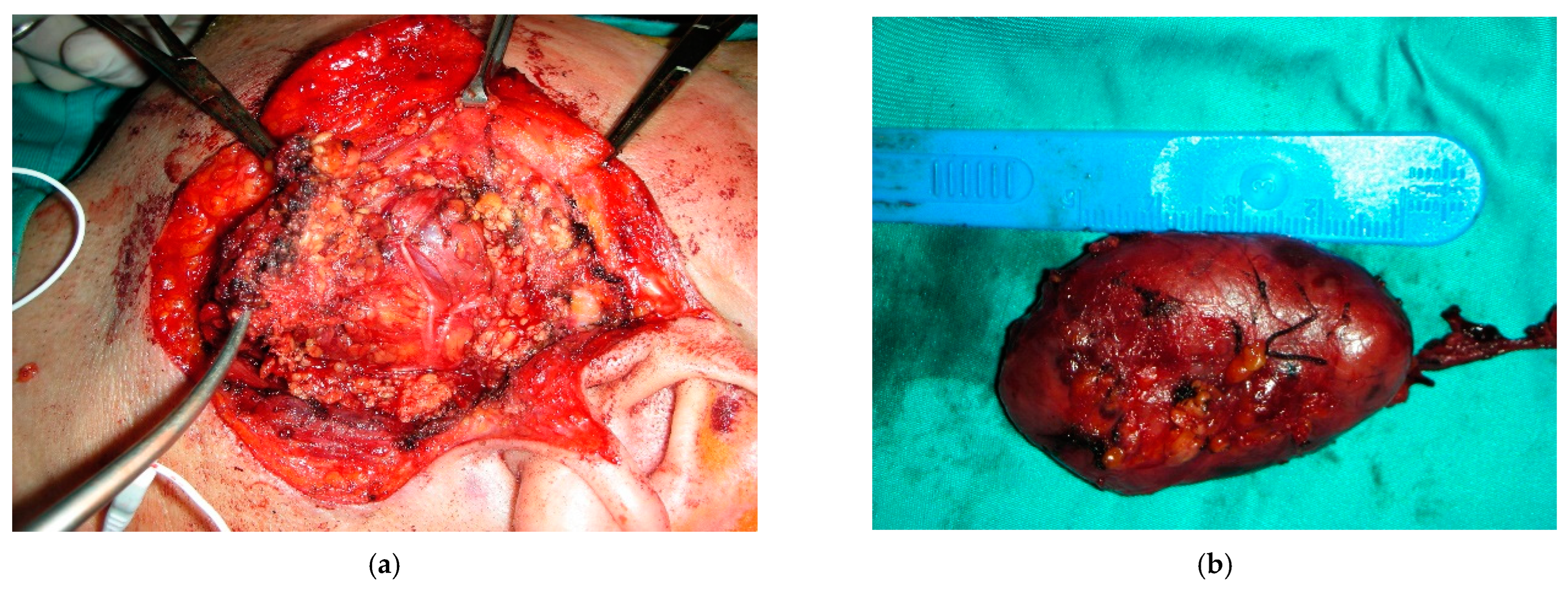 Diagnostics 12 02688 g003