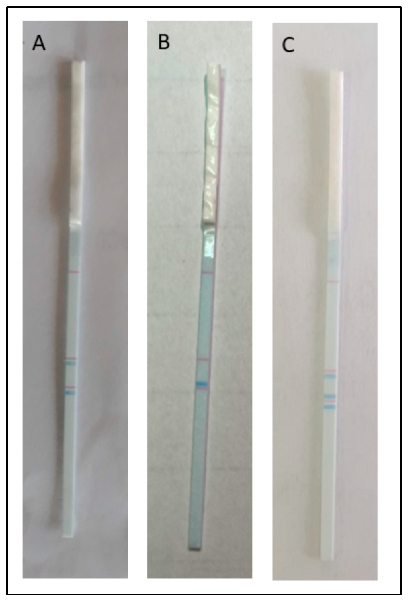 Diagnostics 12 02691 g004