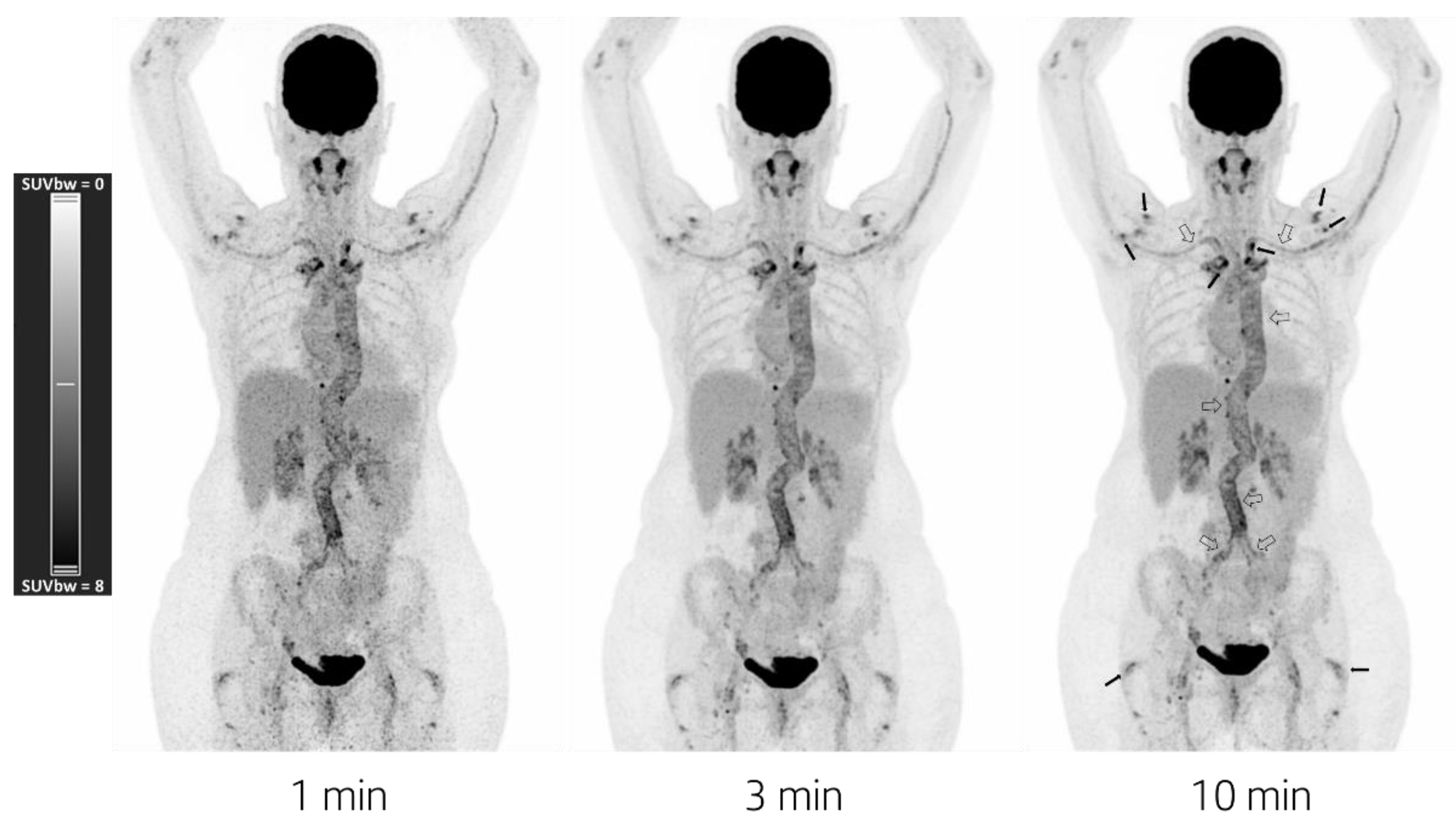 Diagnostics 12 02694 g001