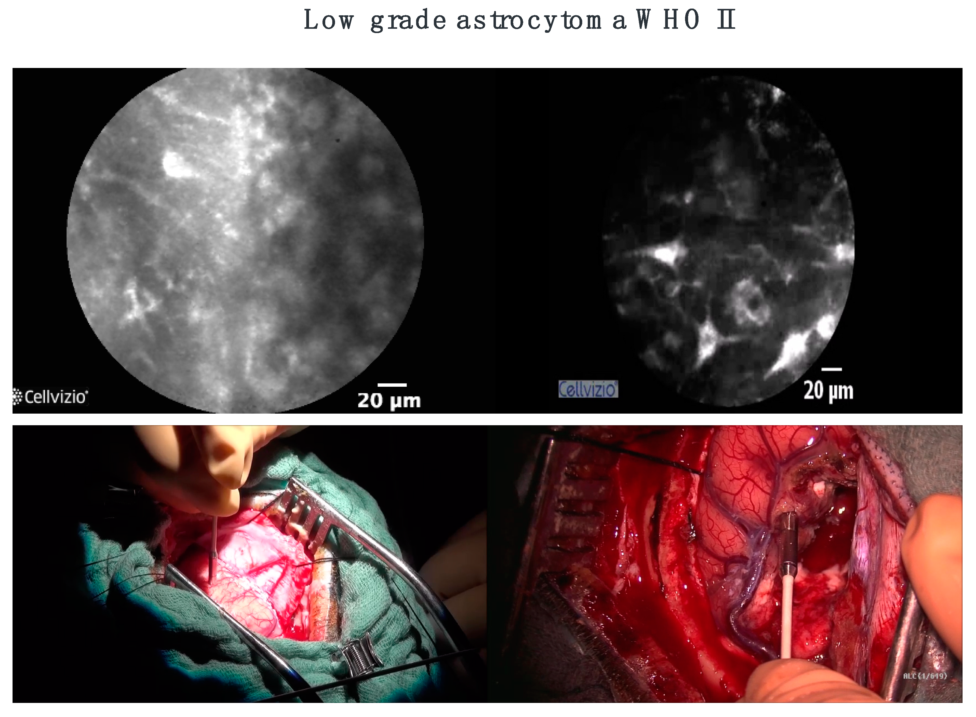 Diagnostics 12 02697 g002 Diagnostics 12 02697 g002