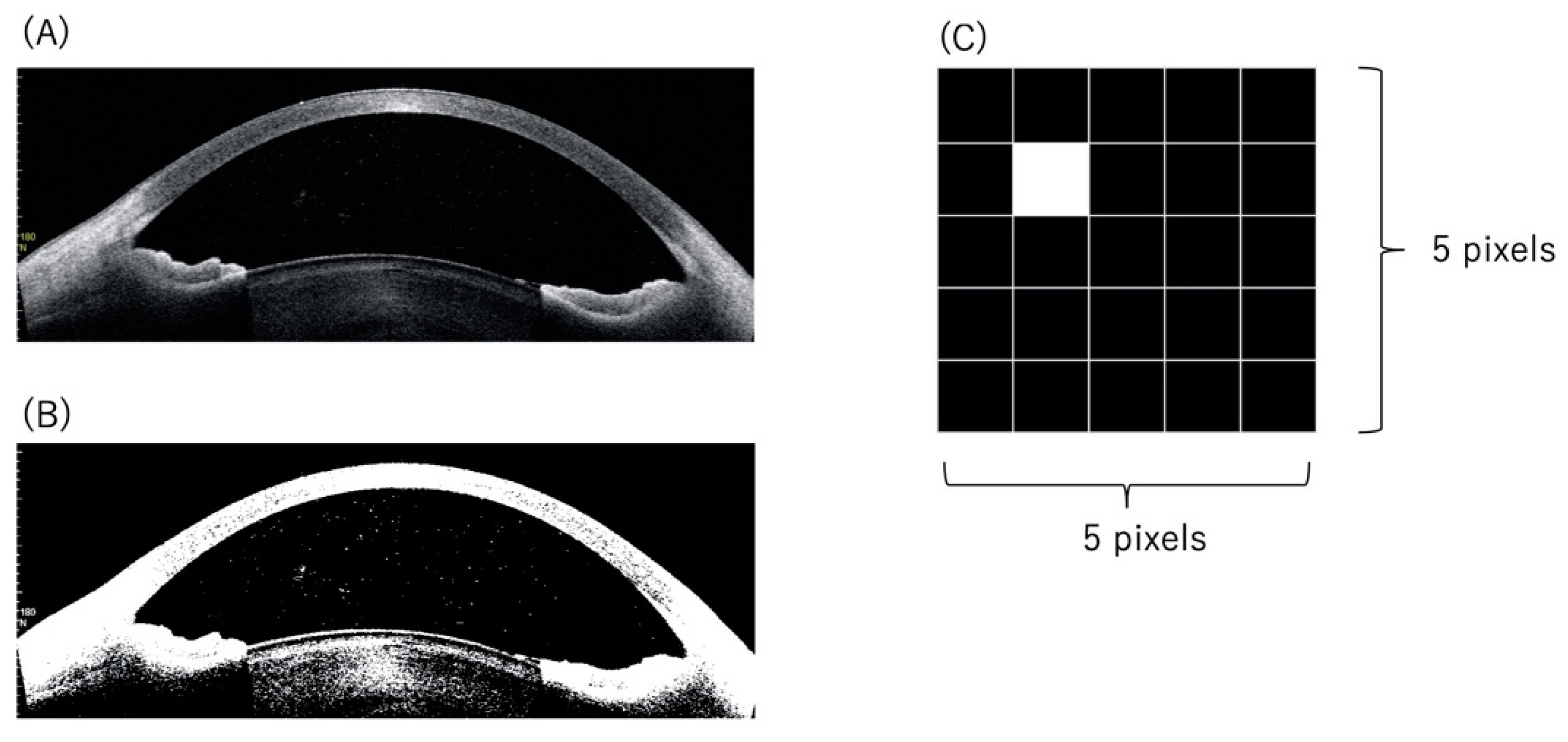 Diagnostics 12 02703 g001