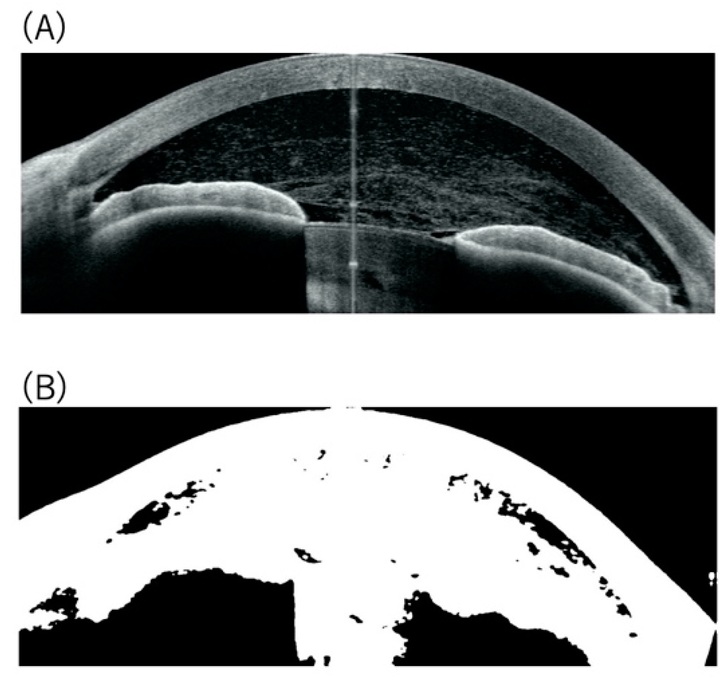 Diagnostics 12 02703 g002