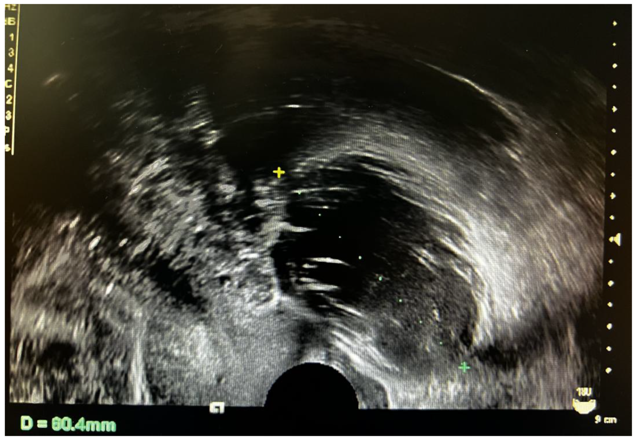 Diagnostics 12 02706 g001 Diagnostics 12 02706 g001