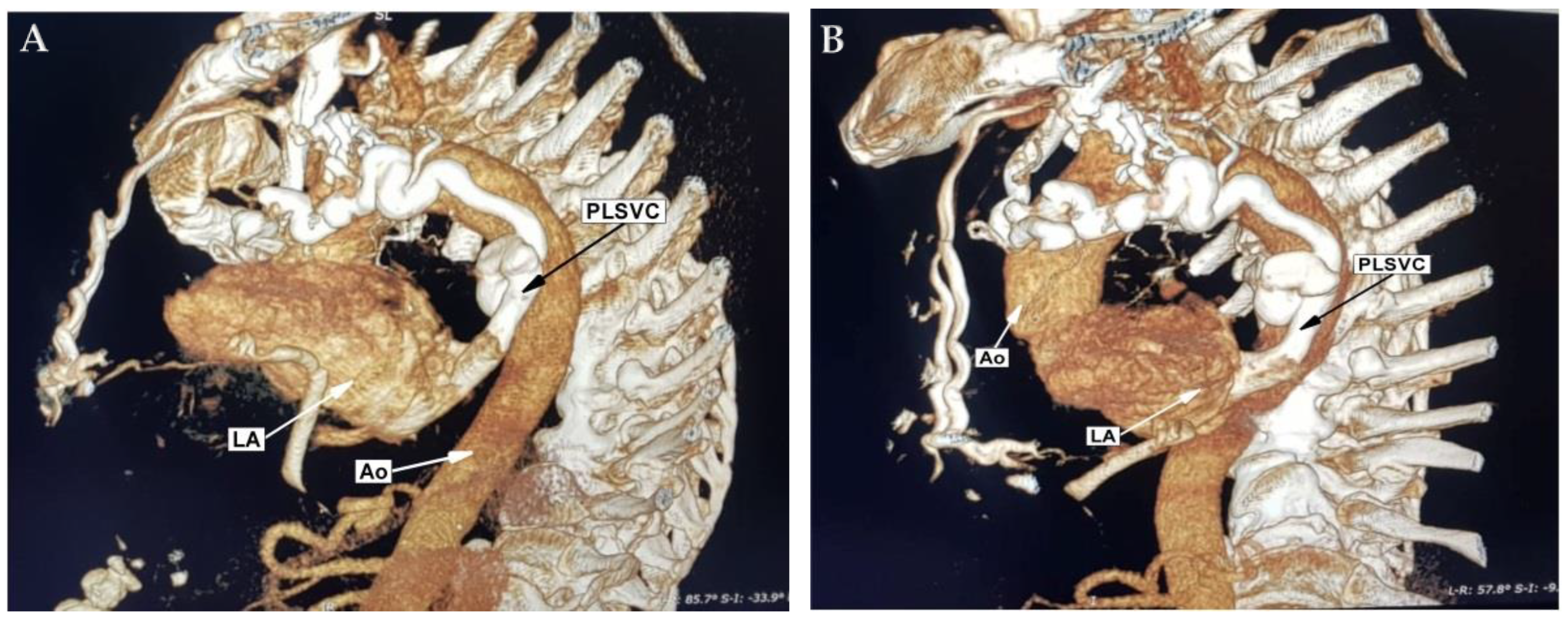 Diagnostics 12 02707 g001 Diagnostics 12 02707 g001