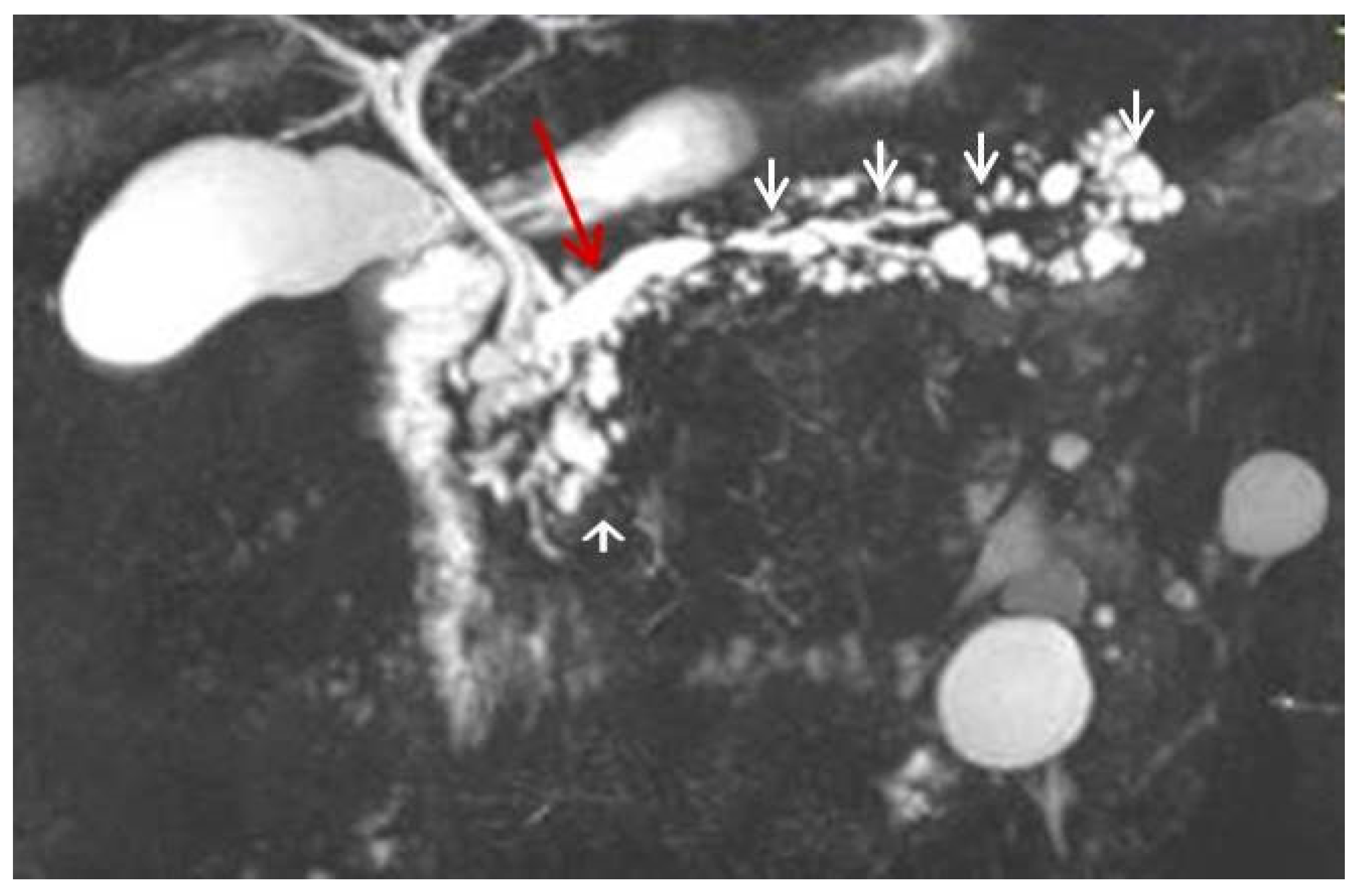 Diagnostics 12 02709 g005