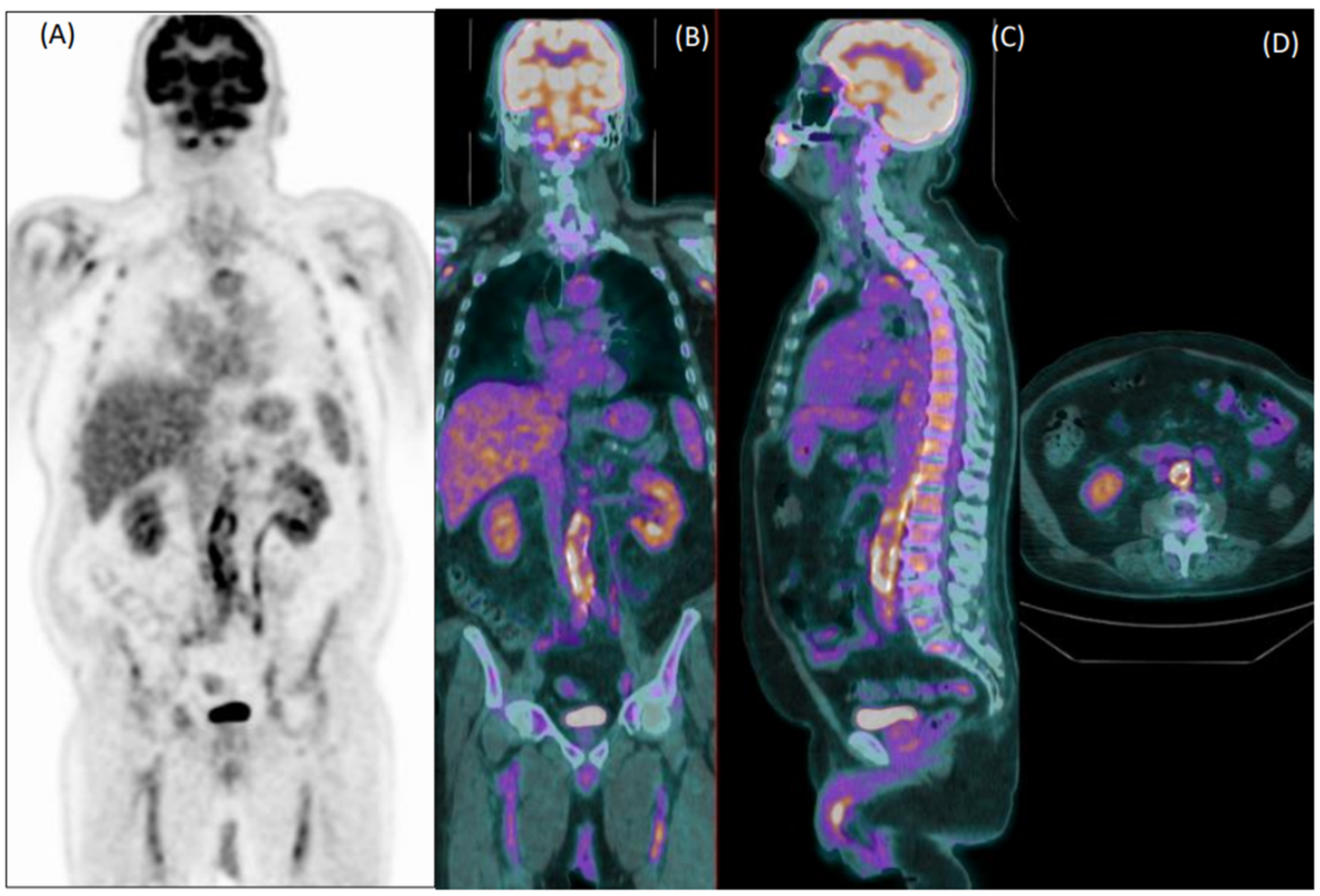 Diagnostics 12 02717 g001