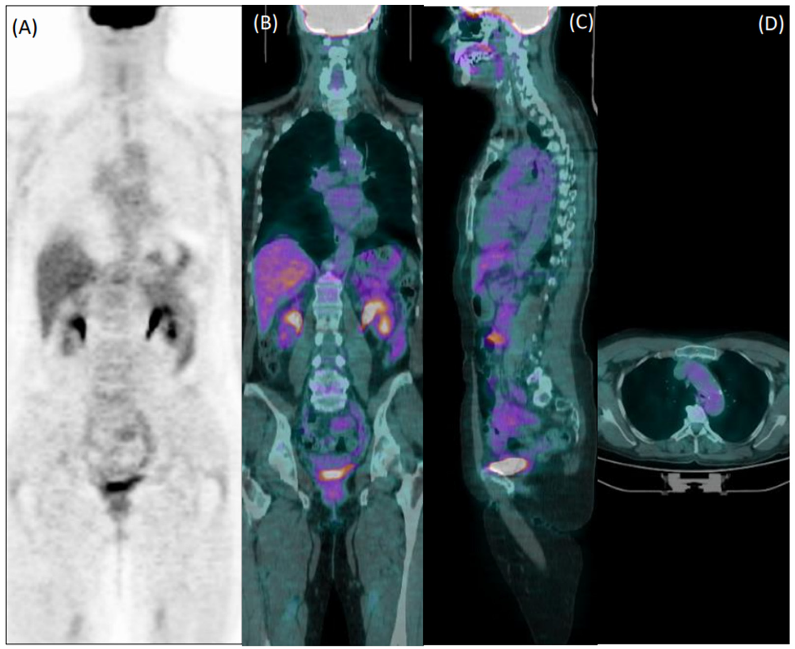 Diagnostics 12 02717 g003