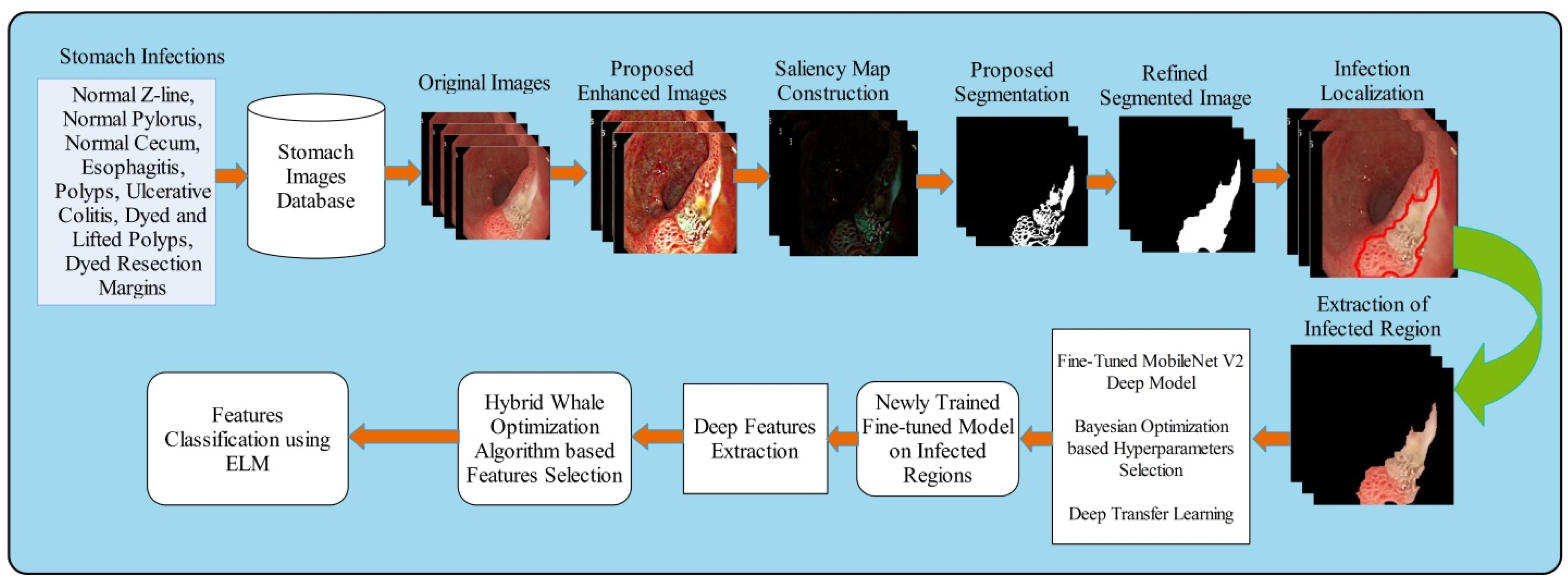 Diagnostics 12 02718 g001
