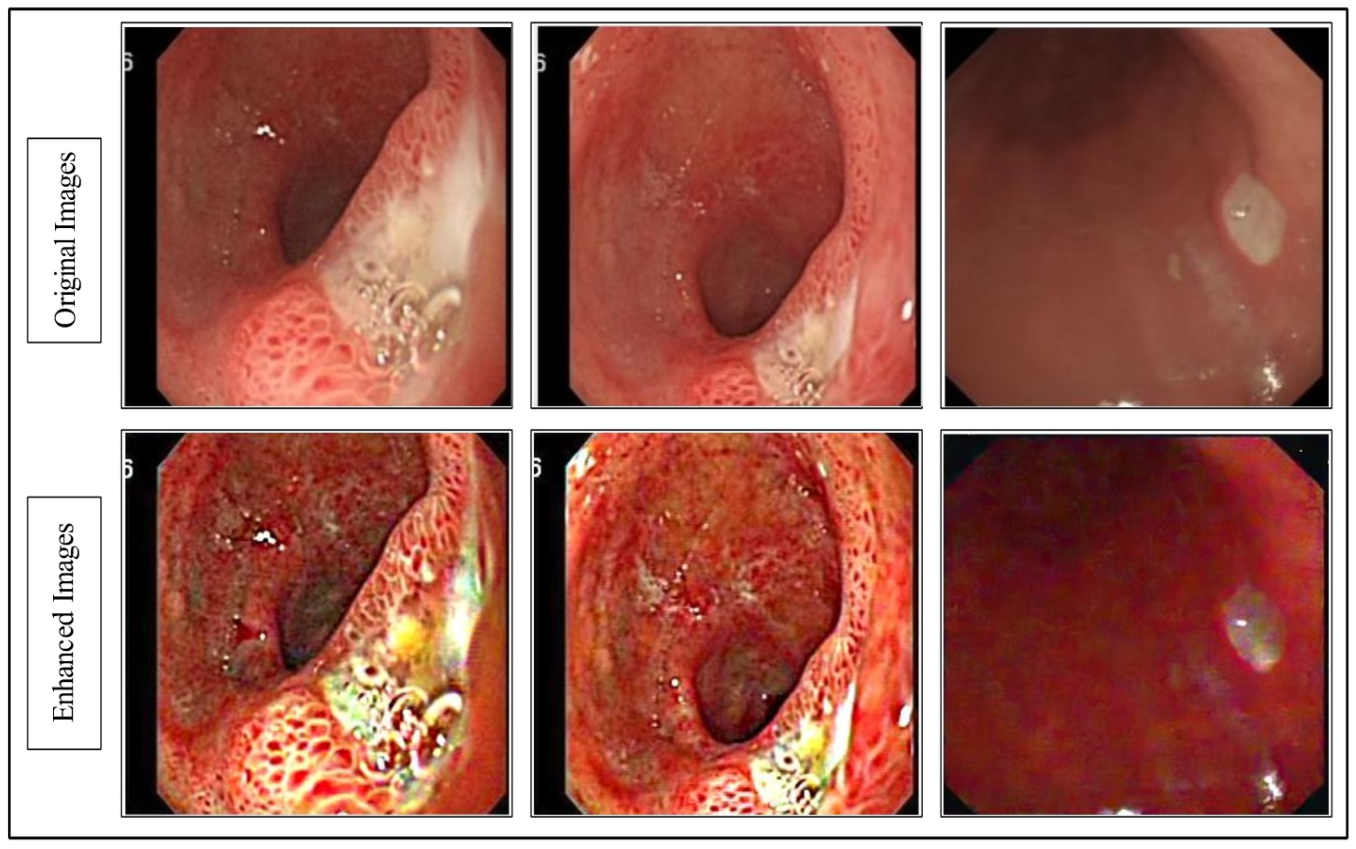 Diagnostics 12 02718 g002
