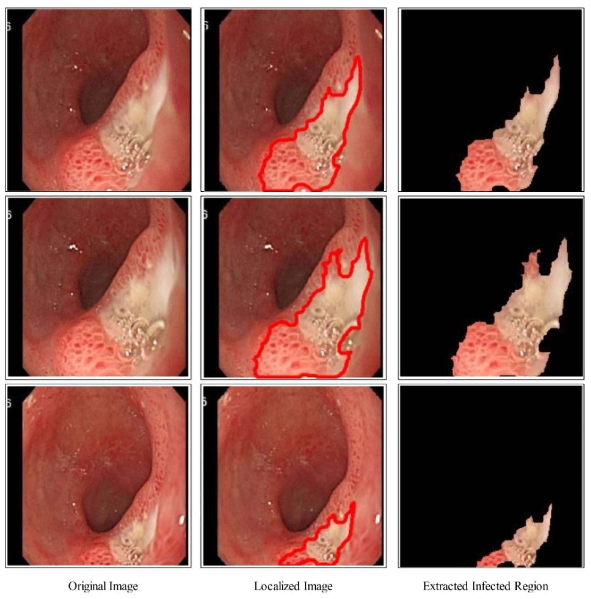Diagnostics 12 02718 g005