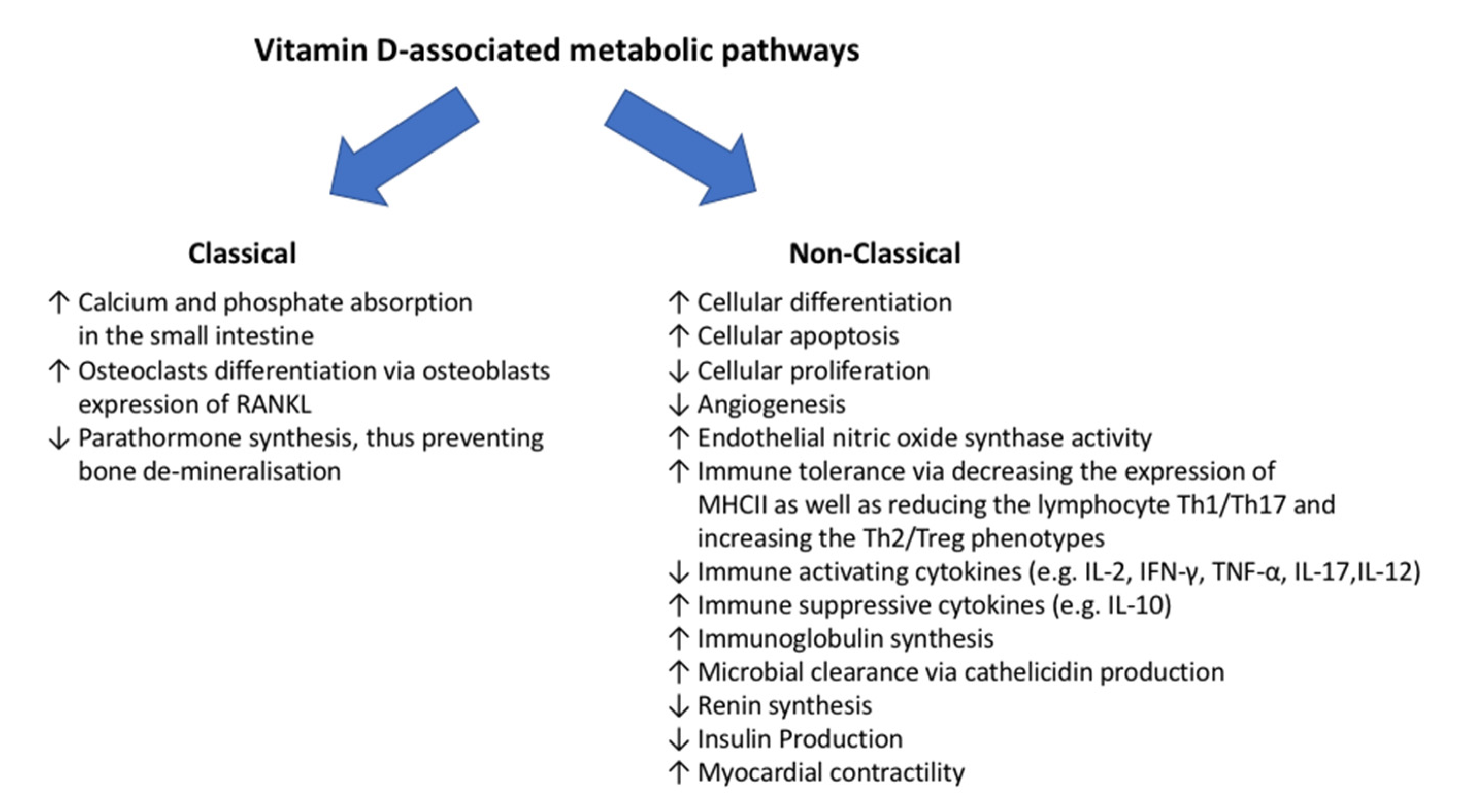 Diagnostics 12 02719 g002 Diagnostics 12 02719 g002