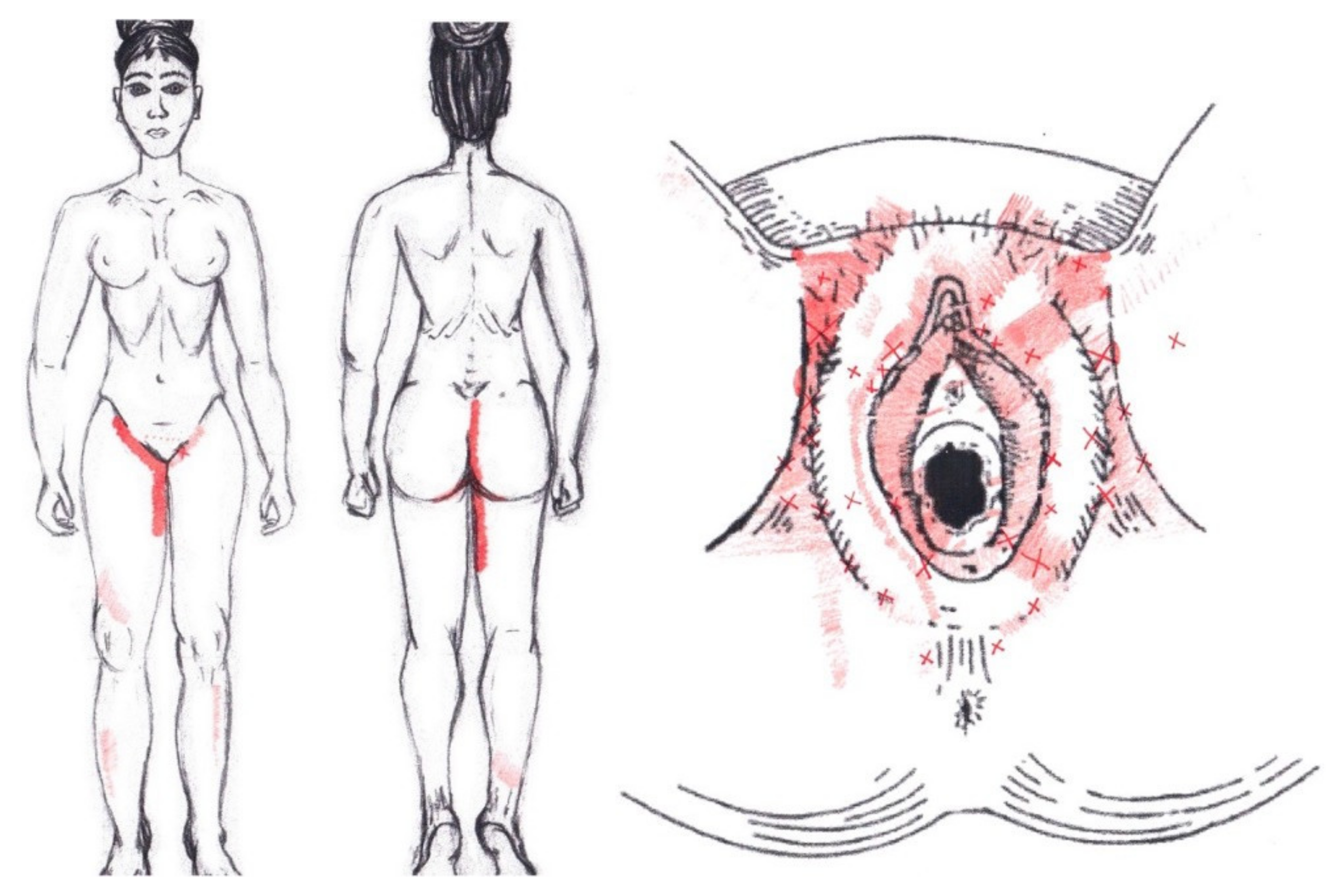 Diagnostics 12 02723 g012