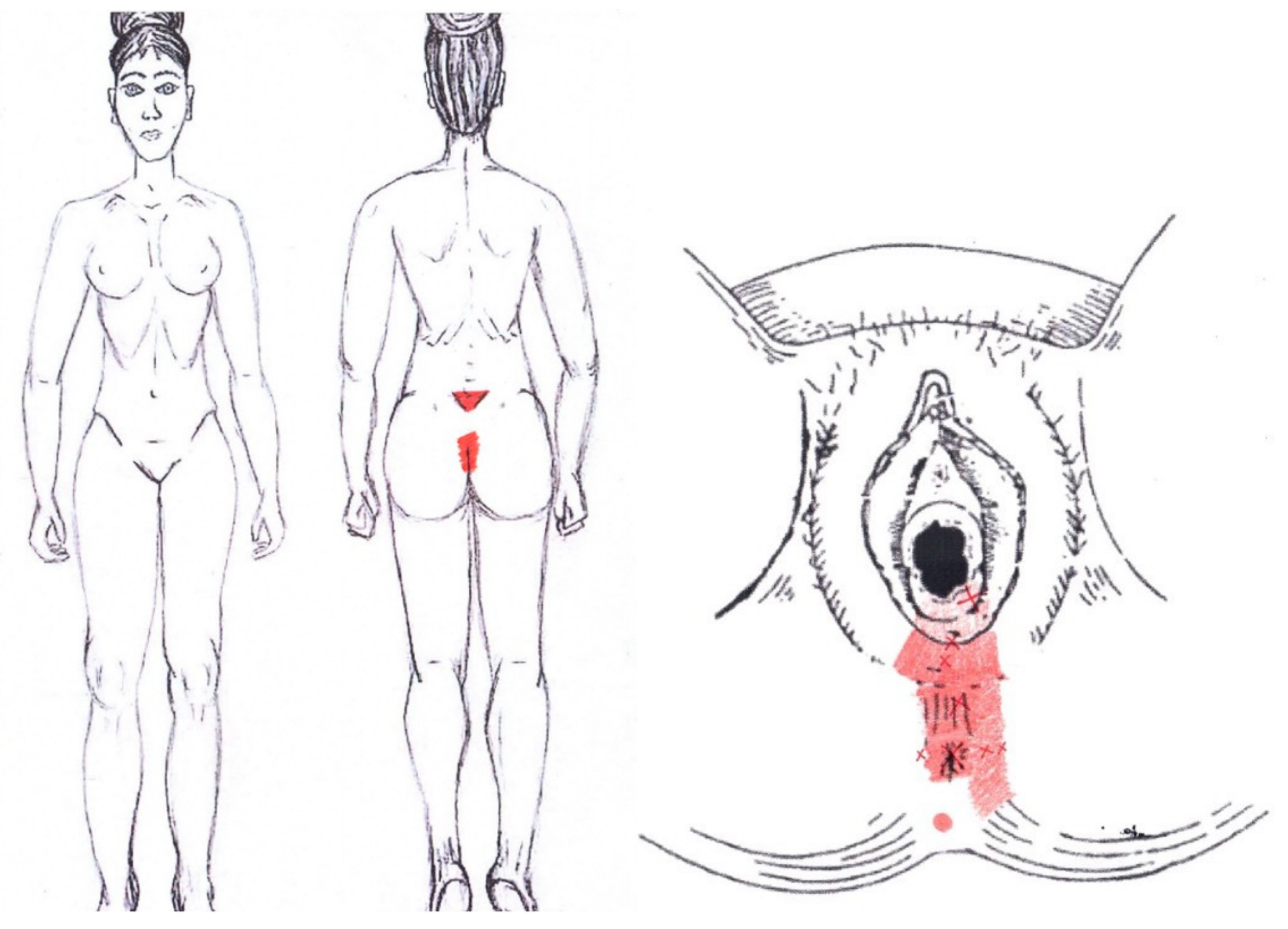 Diagnostics 12 02723 g019