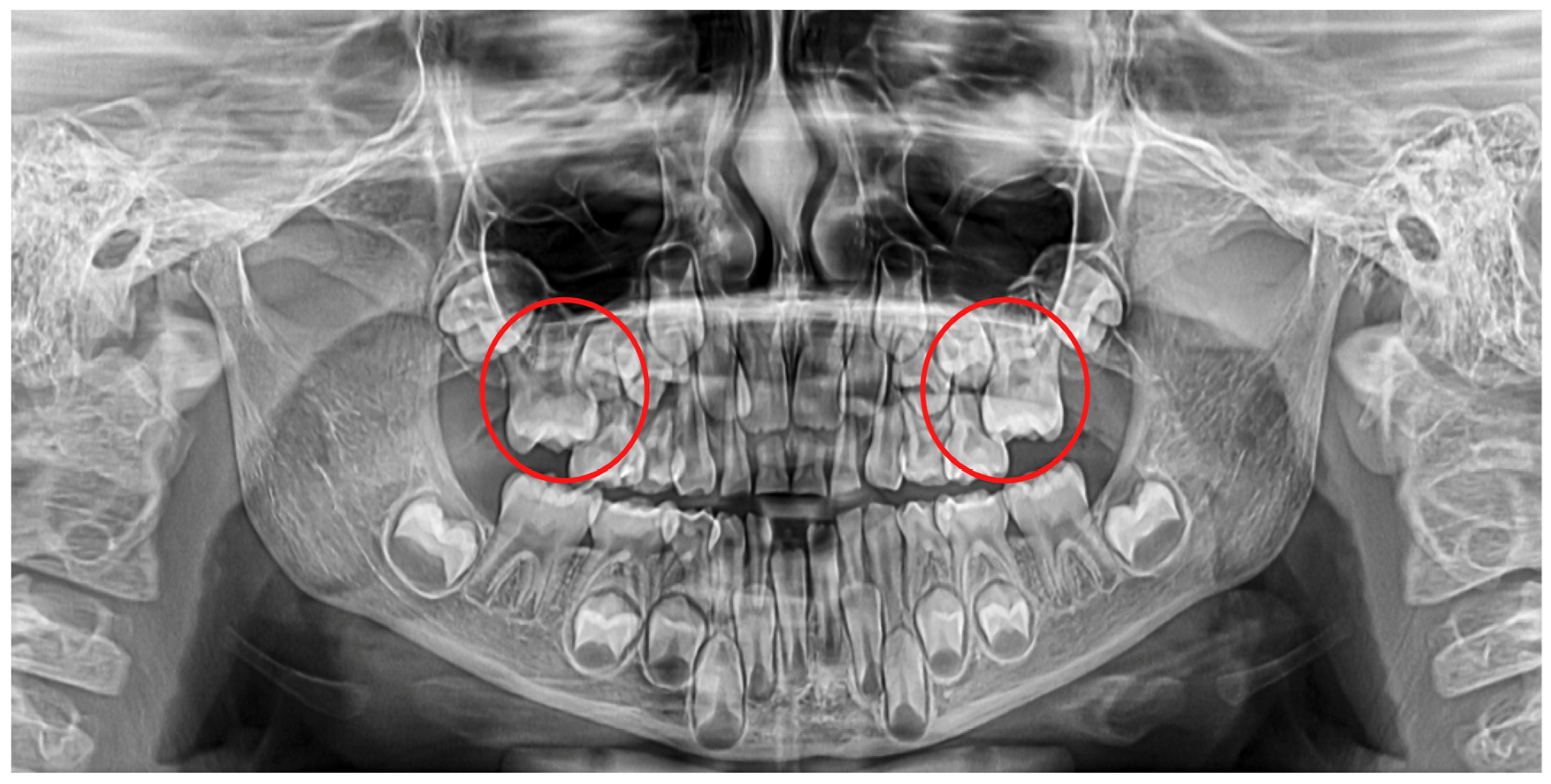 Diagnostics 12 02731 g001 Diagnostics 12 02731 g001