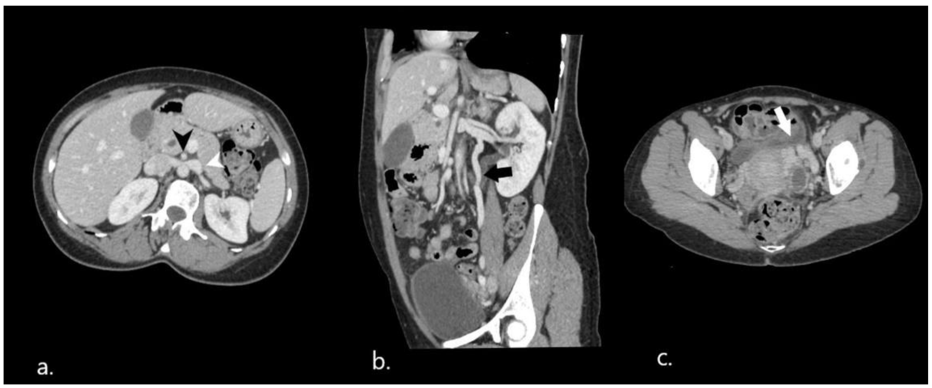 Diagnostics 12 02742 g002