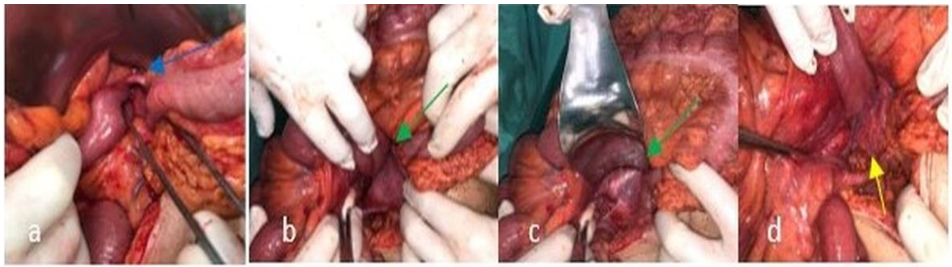 Diagnostics 12 02742 g003